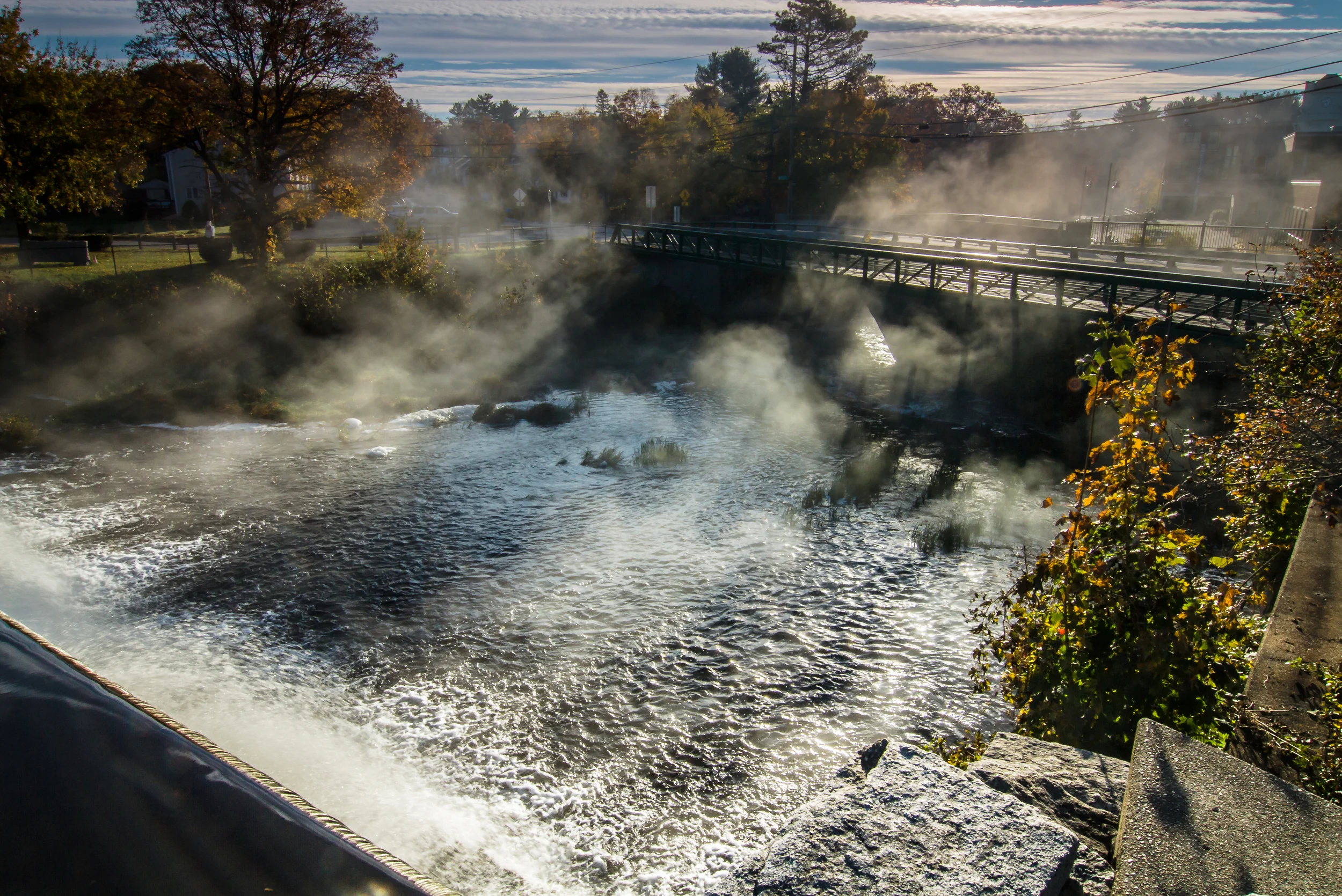 5 Reasons Why Light Matters