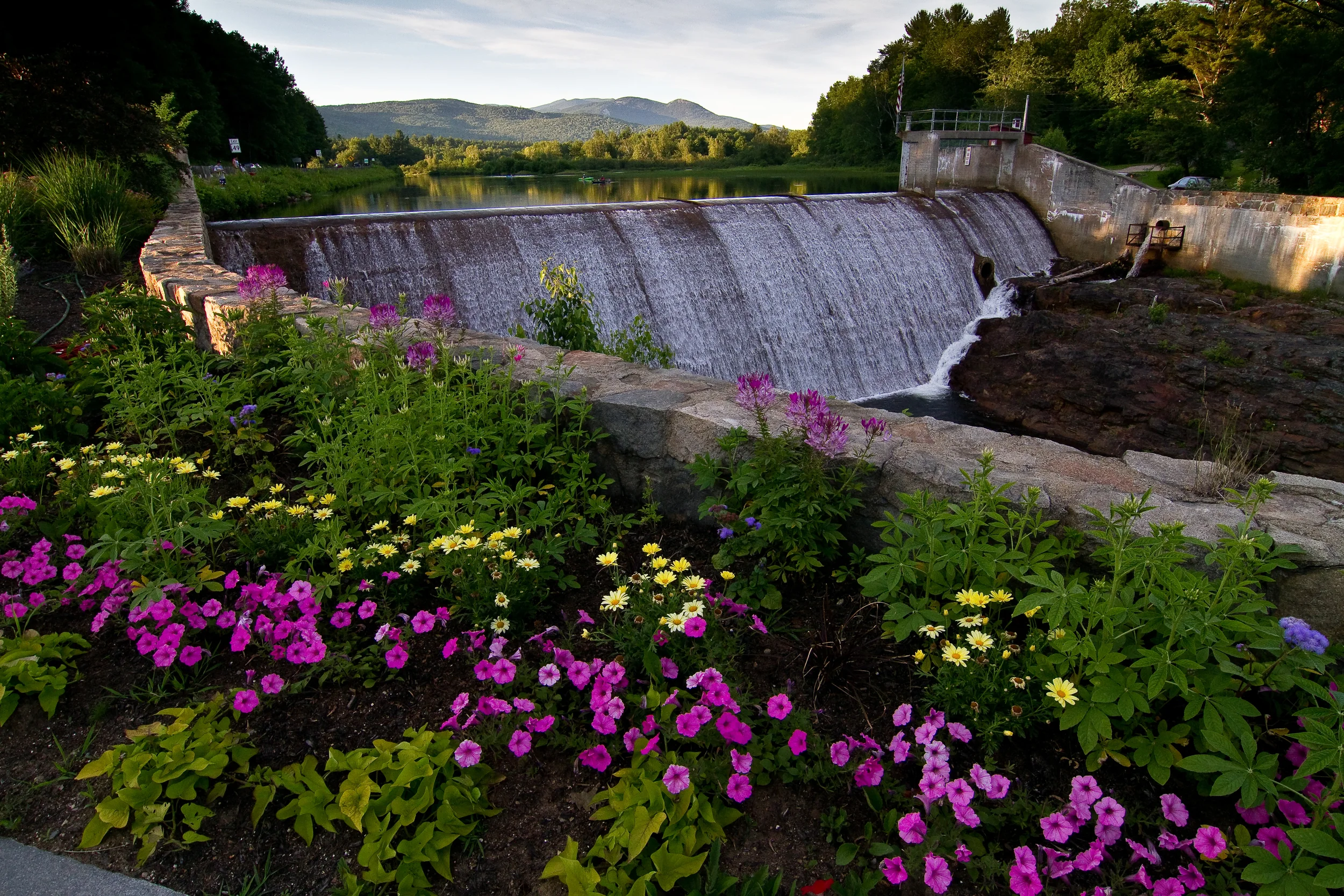 Weekly Photo Challenge:  Flowers