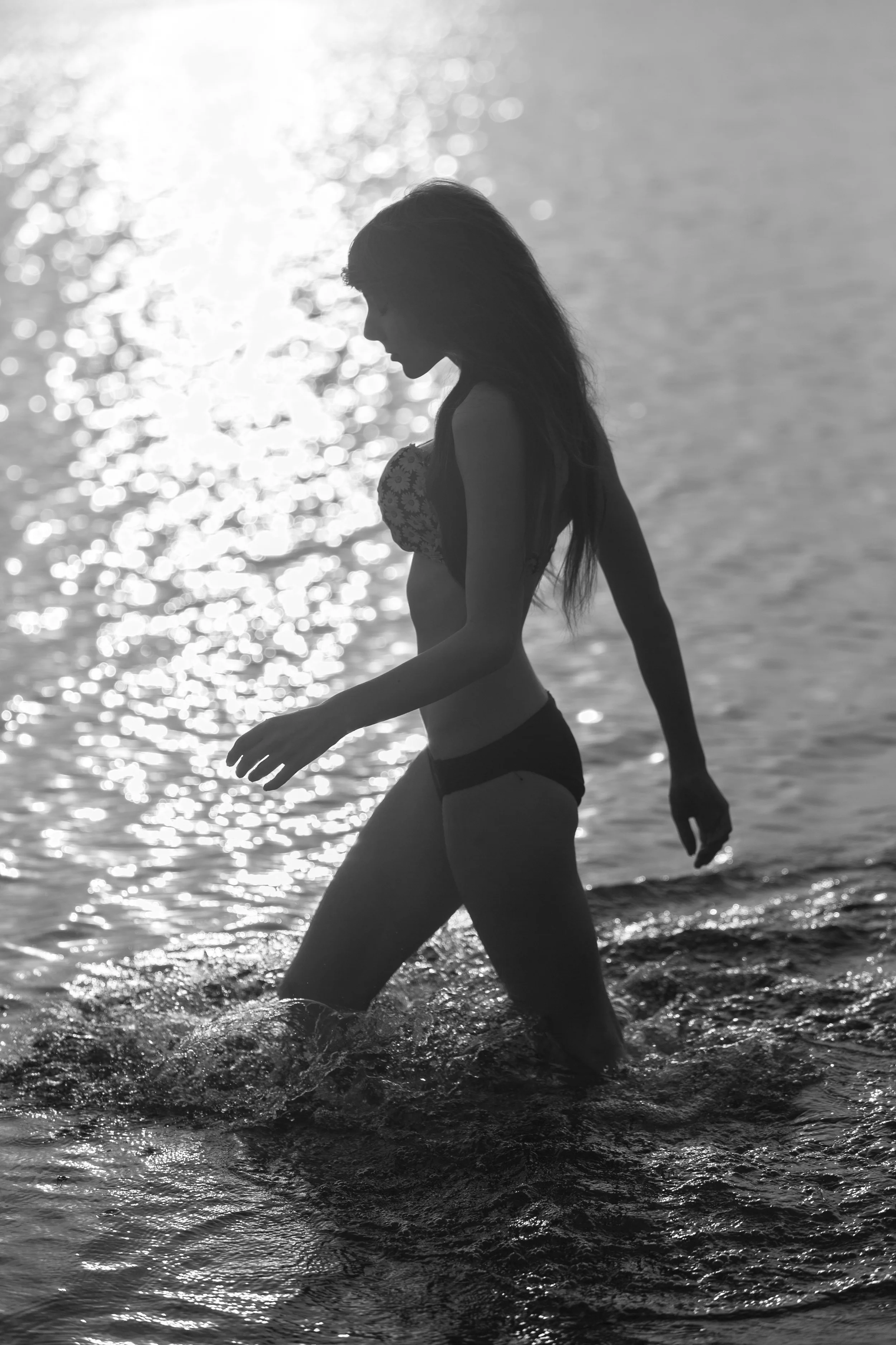 Review of the Sunway Foto Leveling Head