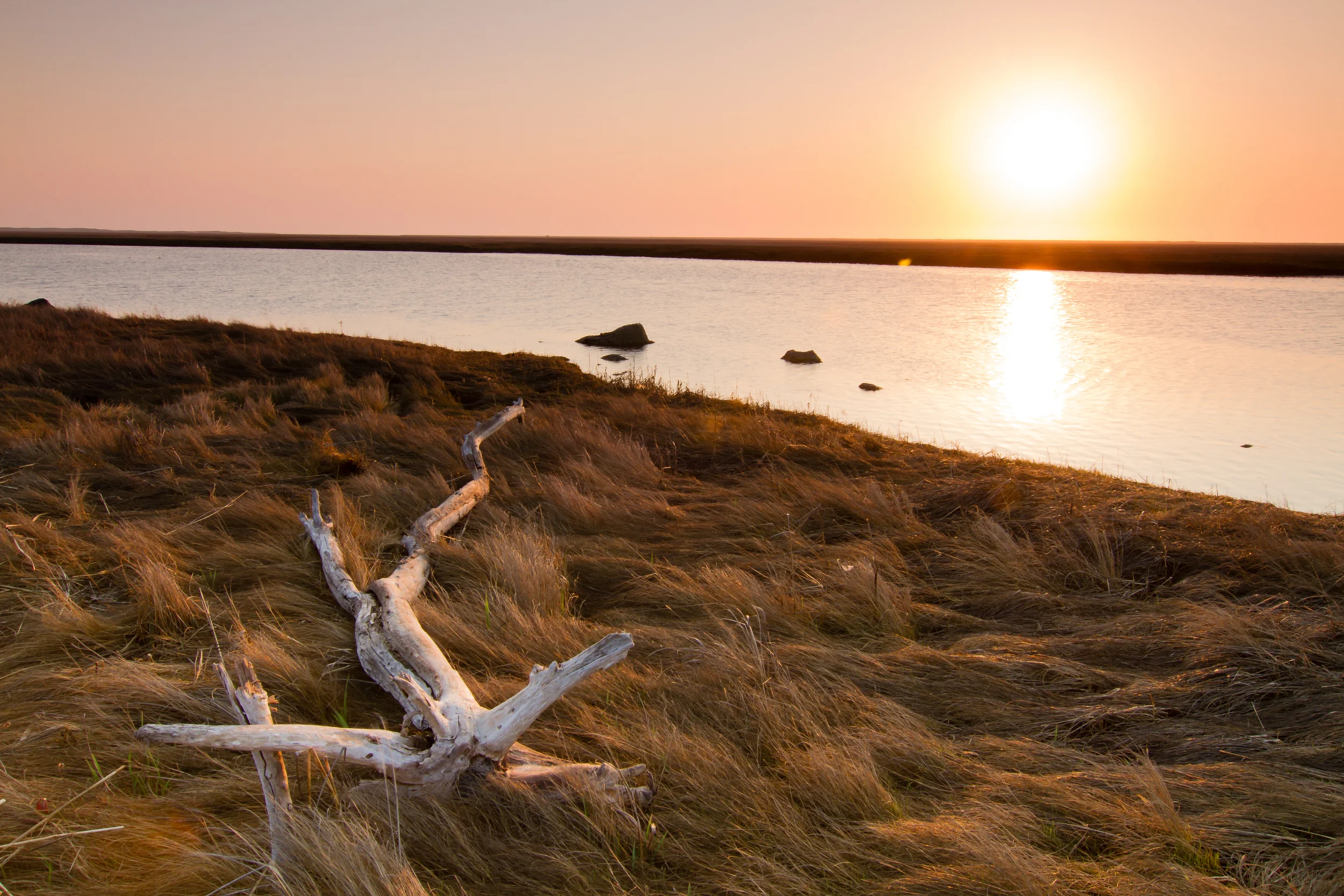 Monthly Photo Challenge