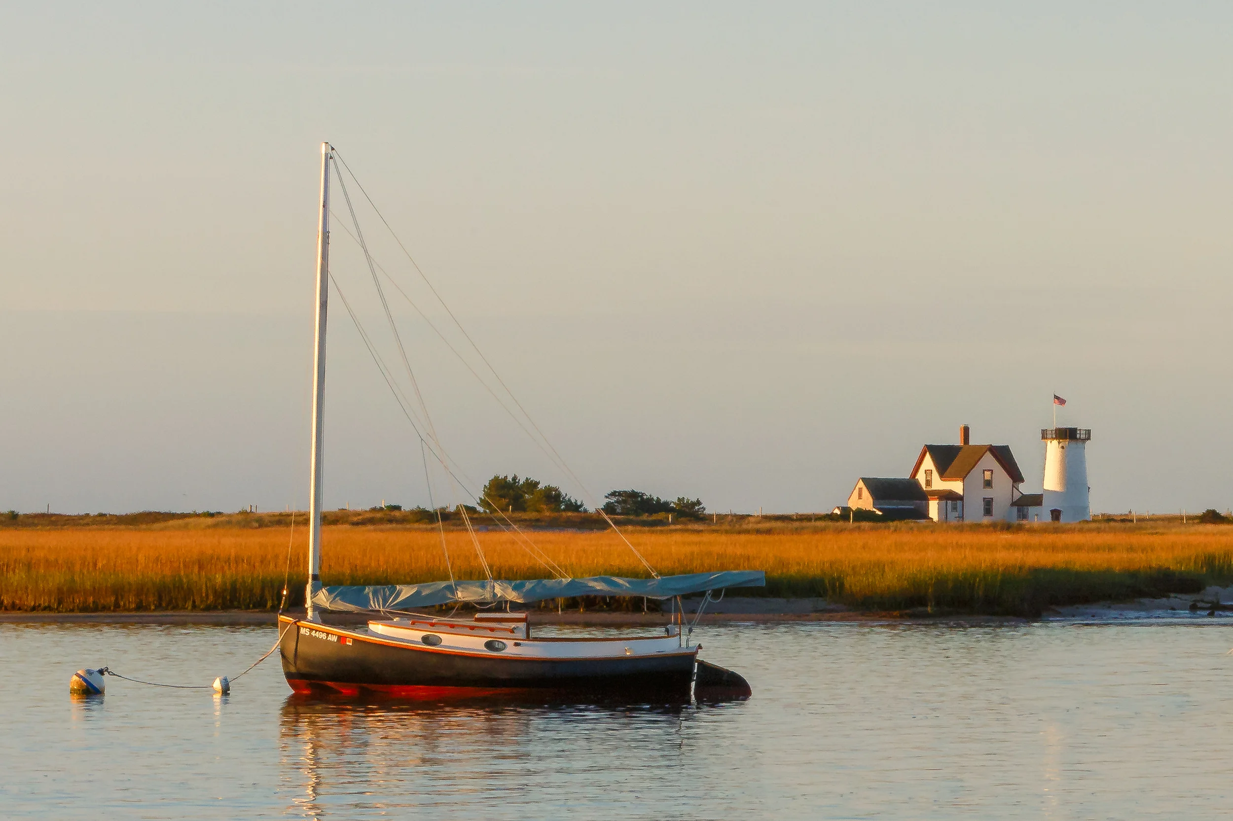 Are you Using Image Editing Software?  Well, You Should be!