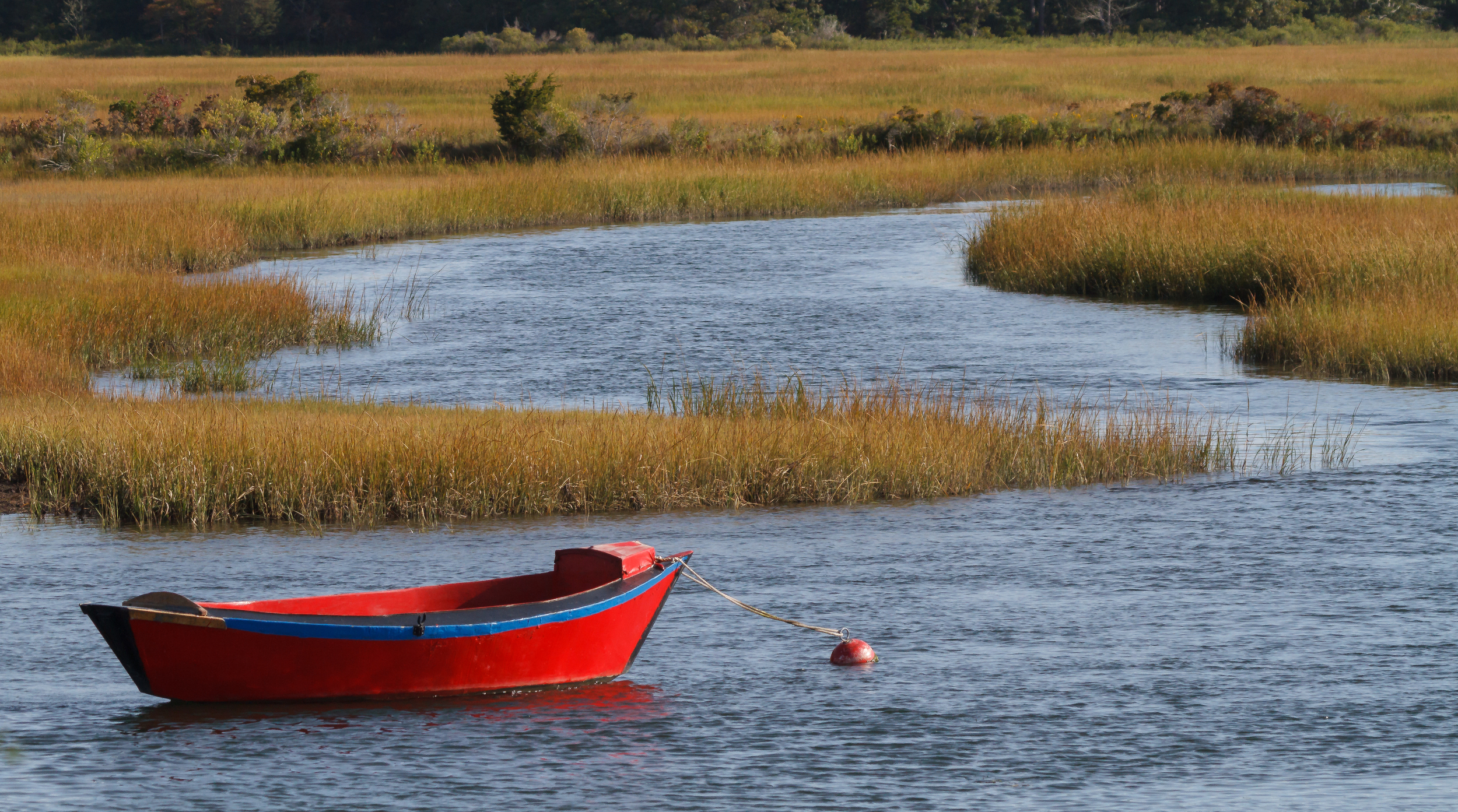 Cape Cod 2015 BW-2484-2.jpg