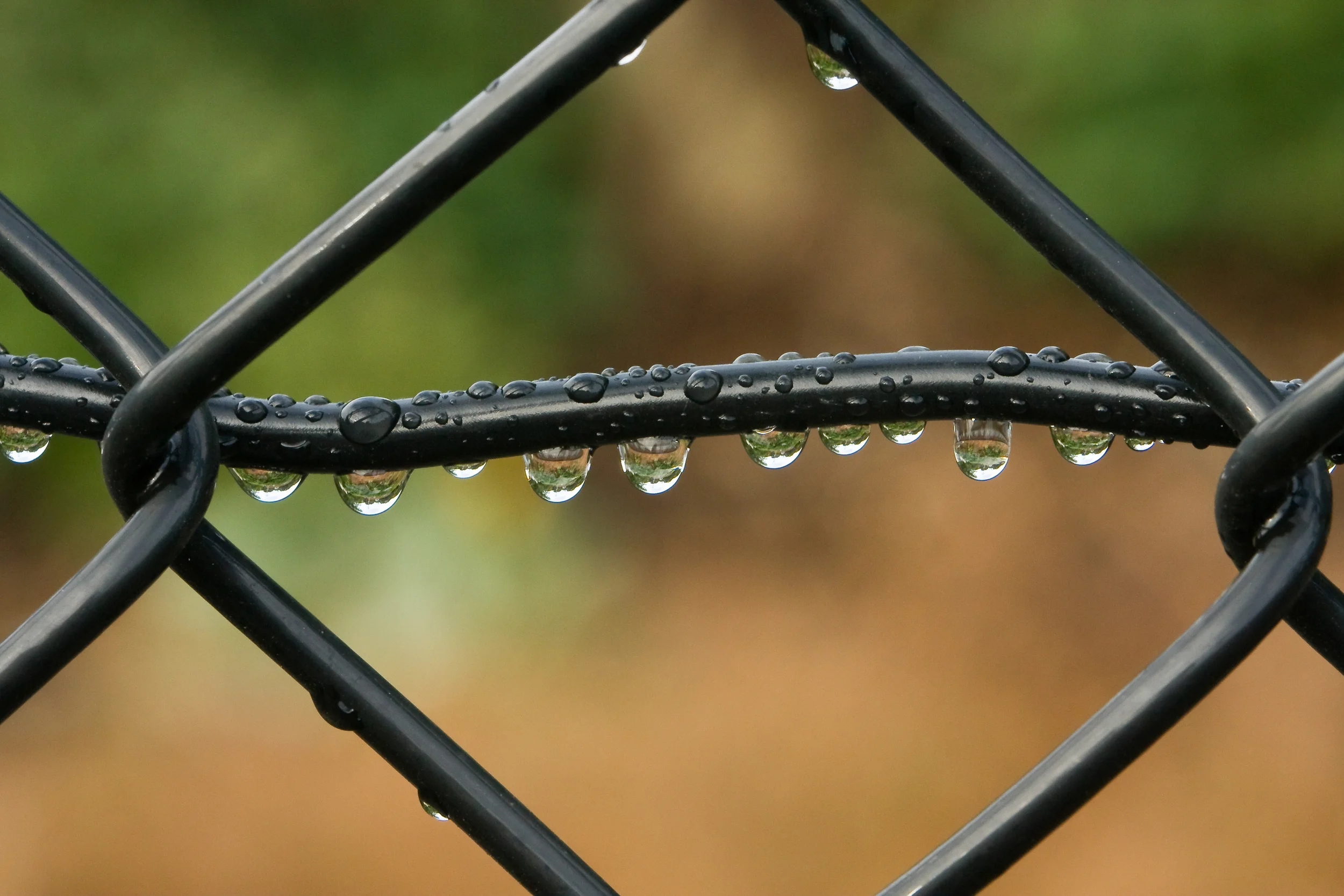 You Don't need Exotic Locations to Make Great Images