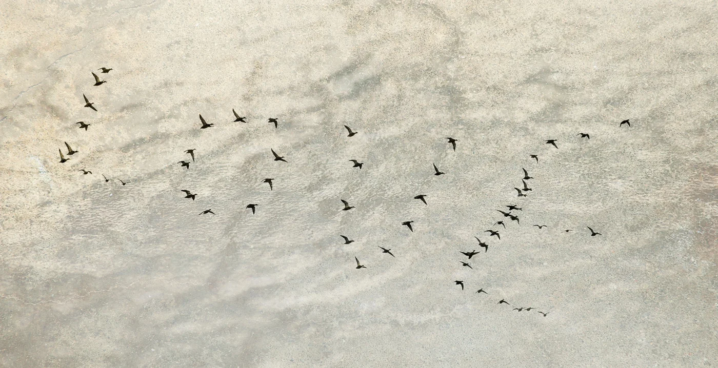 How to Use the Content Aware Move Tool in Photoshop CC