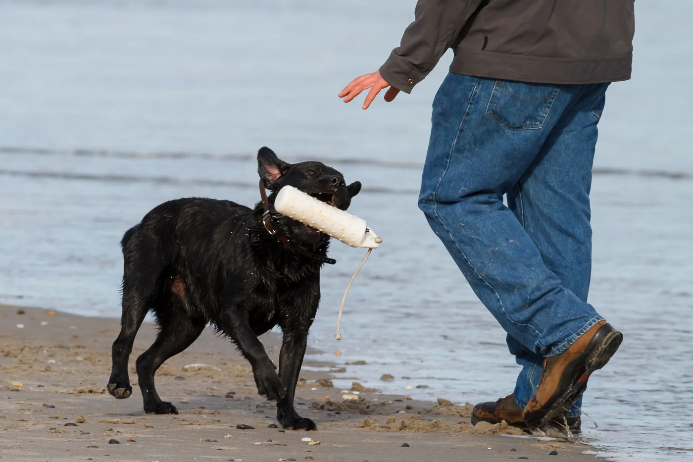 5 Tips for Capturing Better Action Shots