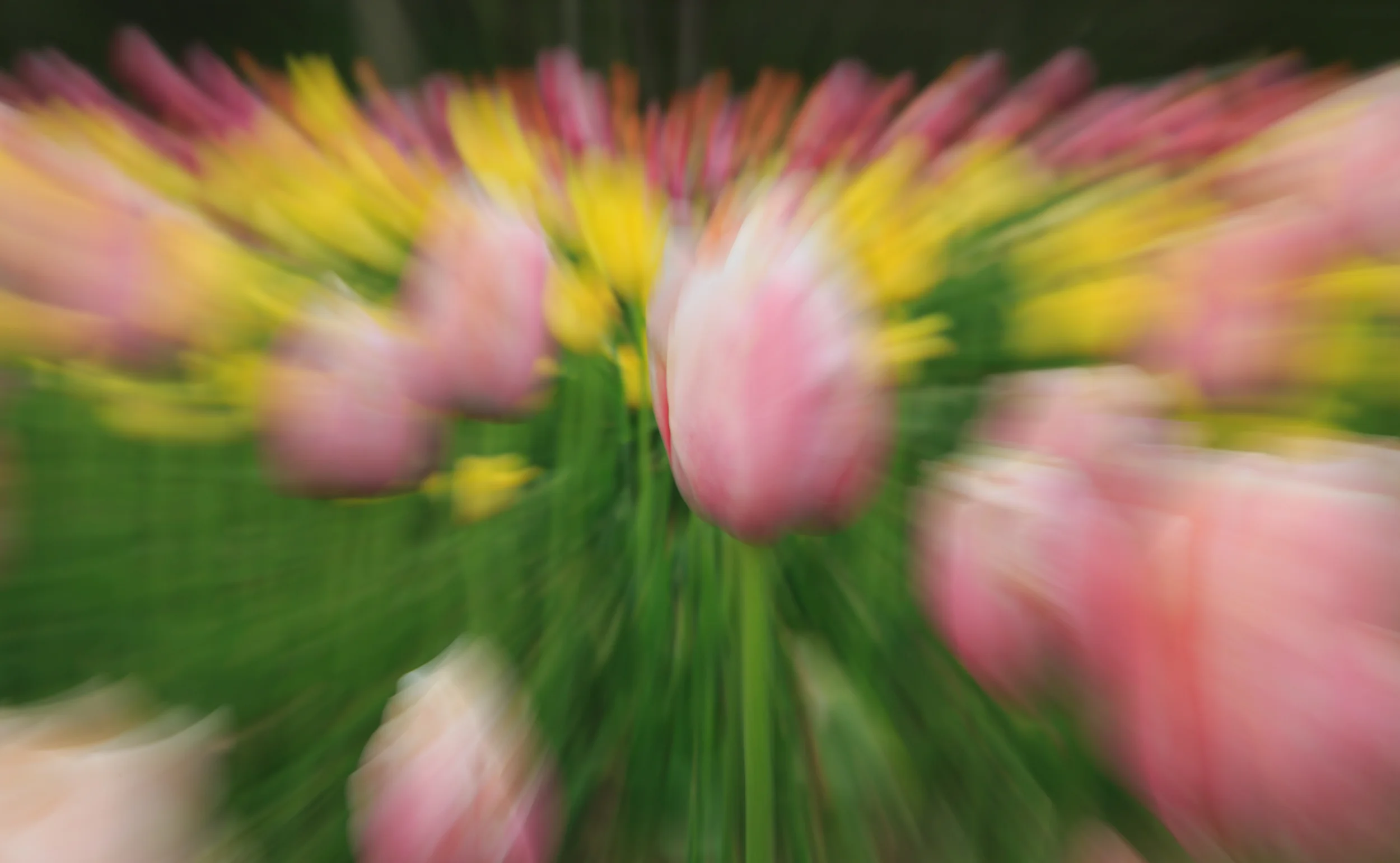 Abstract Flowers