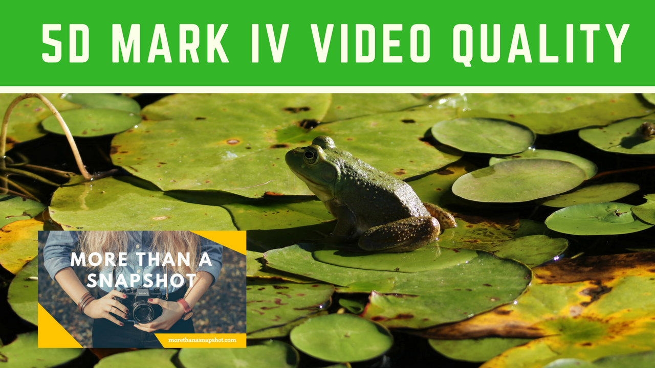 Canon 5D Mark IV Video Quality