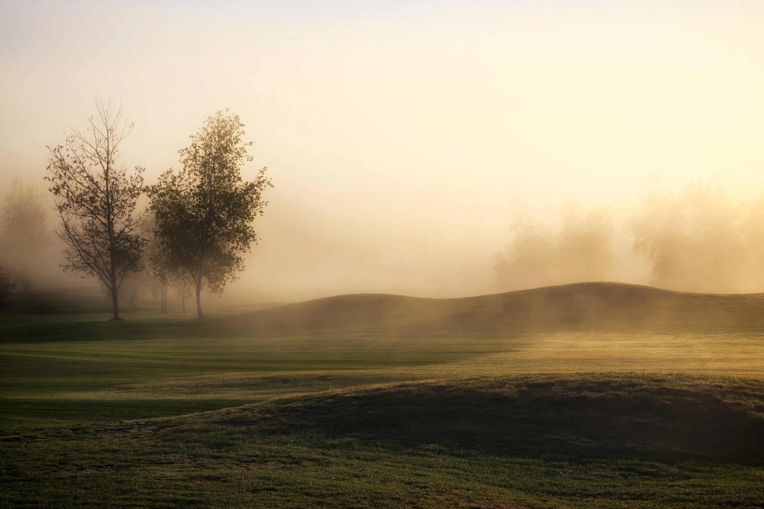 Fall is a Great Time for Foliage & Fog