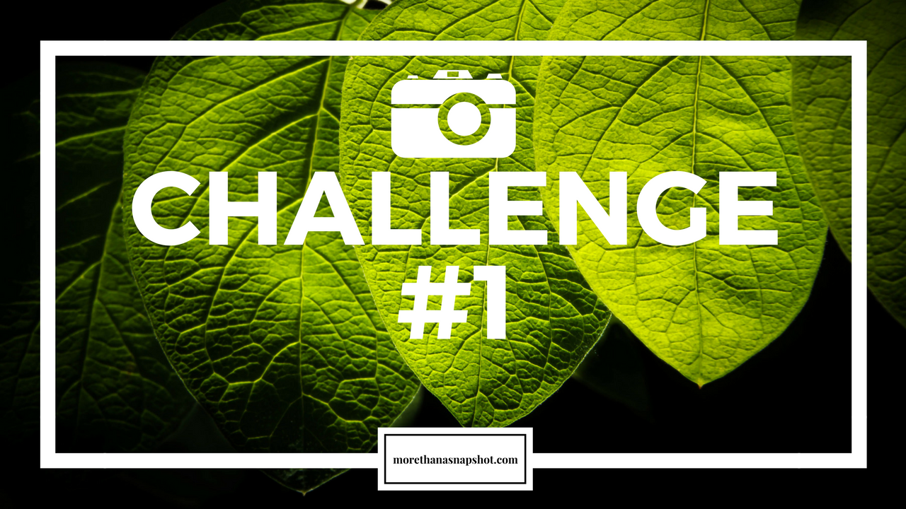 Photography Challenge #1:  Describe Yourself as a Photographer