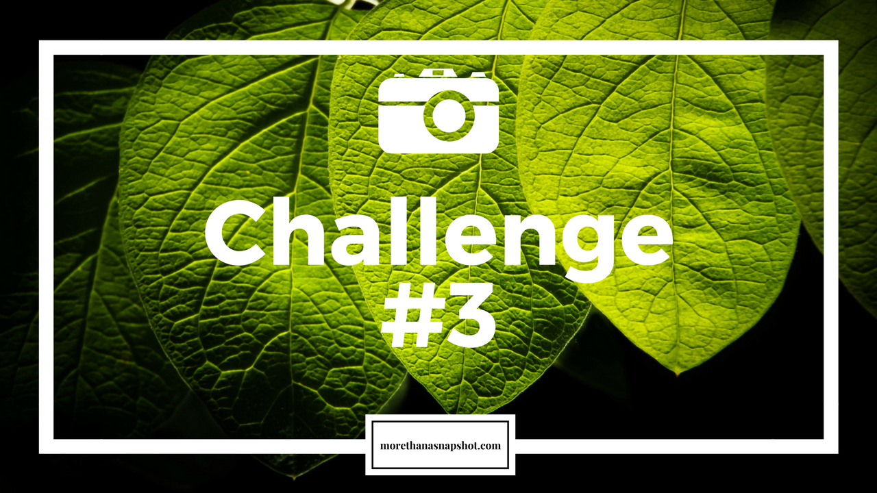 Photography Challenge #3:  Reseach