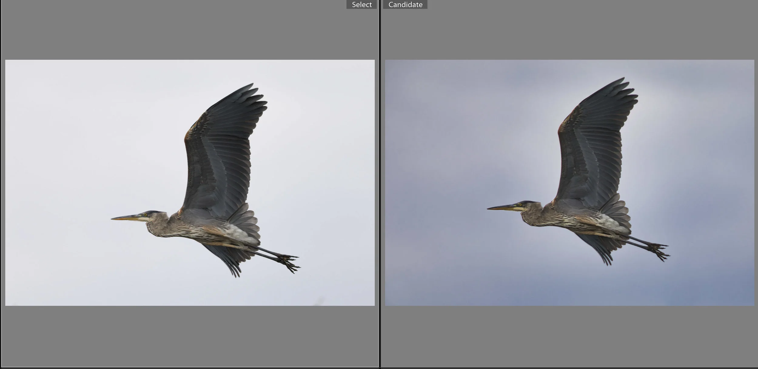 Topaz Studio Vs Luminar Quick Edits