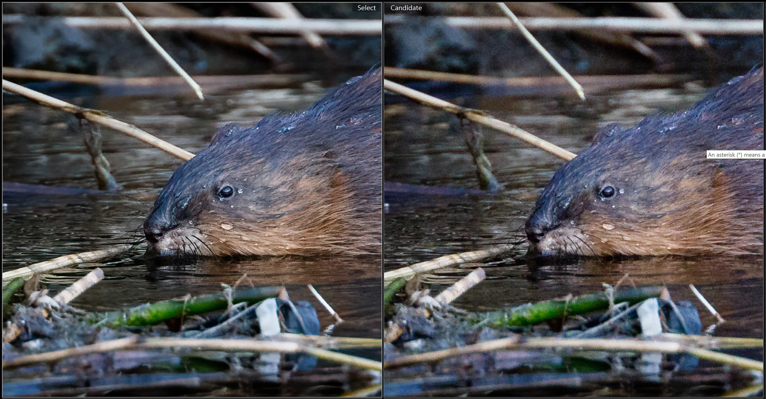 Can Topaz AI Clear Really Sharpen Soft Images?