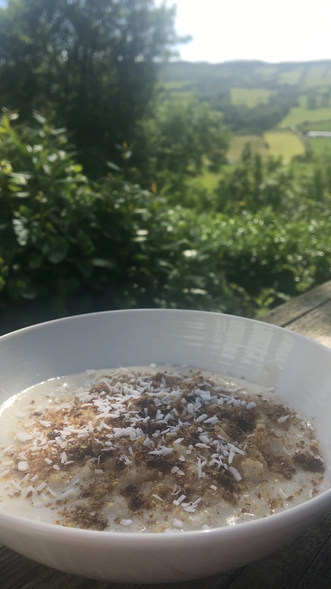 Porridge on the deck in the sunshine. 🥣 🌞 