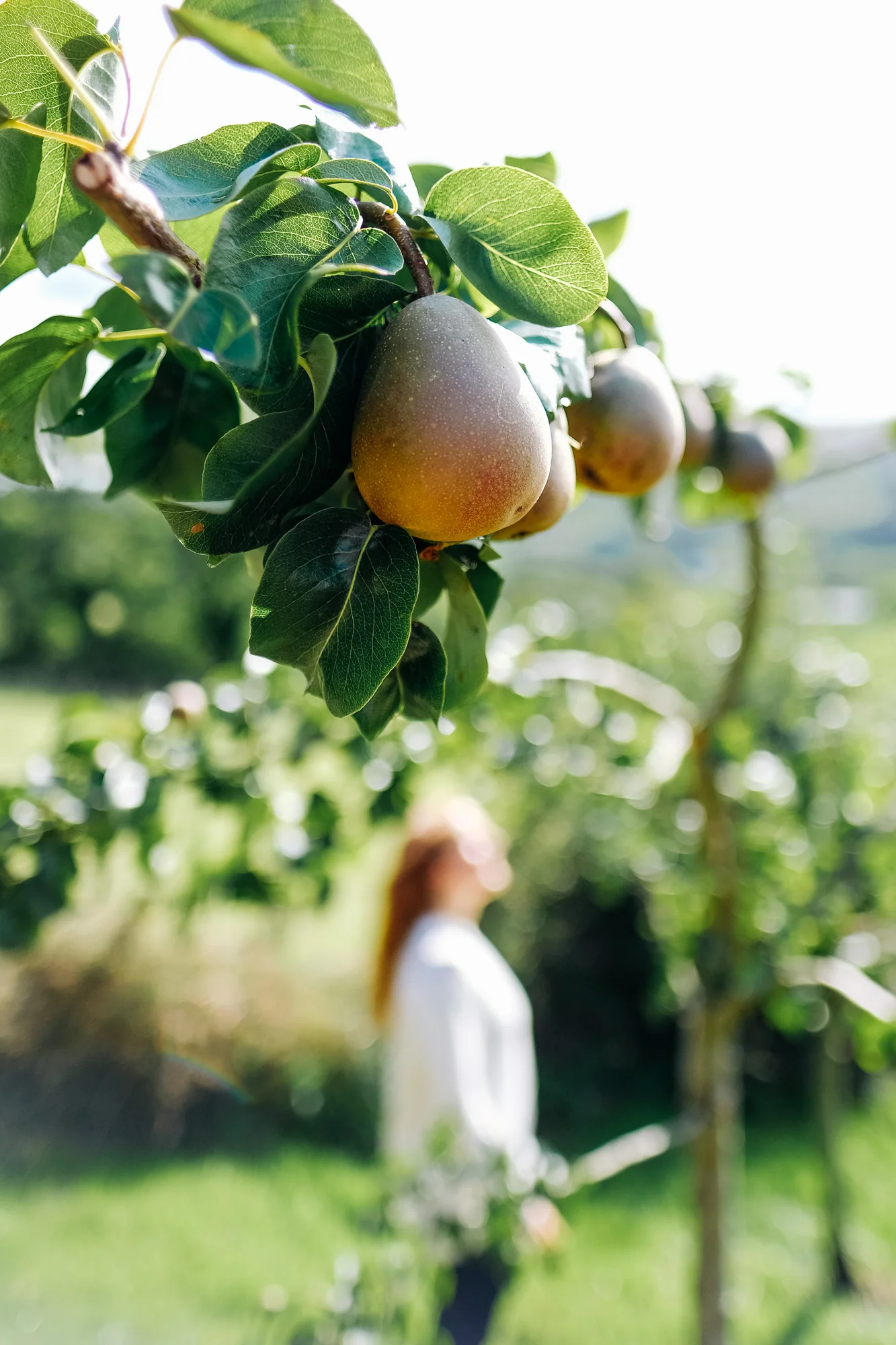 Growing your own can make a difference.
