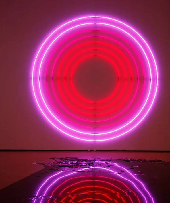 Phantom Studies (2008) MAC Musée d'art contemporain Lyon Exhibition view Salle 2: Dimension Intrusion (2008), Neontubes (ø 300 cm) Courtesy MAC Lyon (Photo Lori Hersberger)