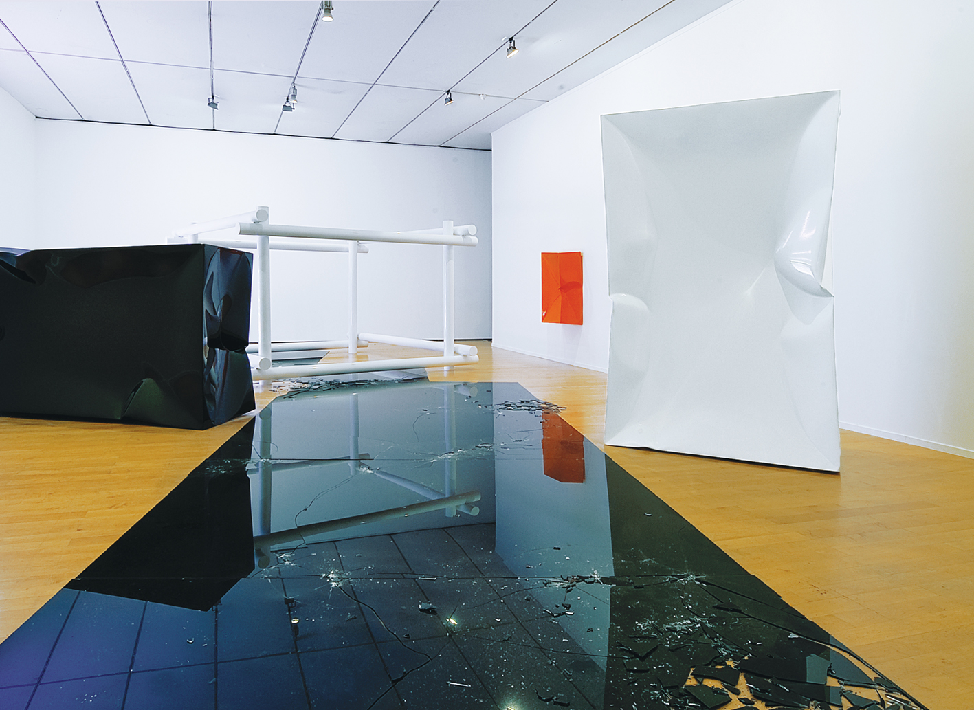 Phantom Studies 2008 MAC Musée d'art contemporain Lyon View space 2