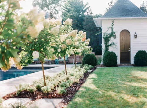 Daigh Rick Landscape Architects
