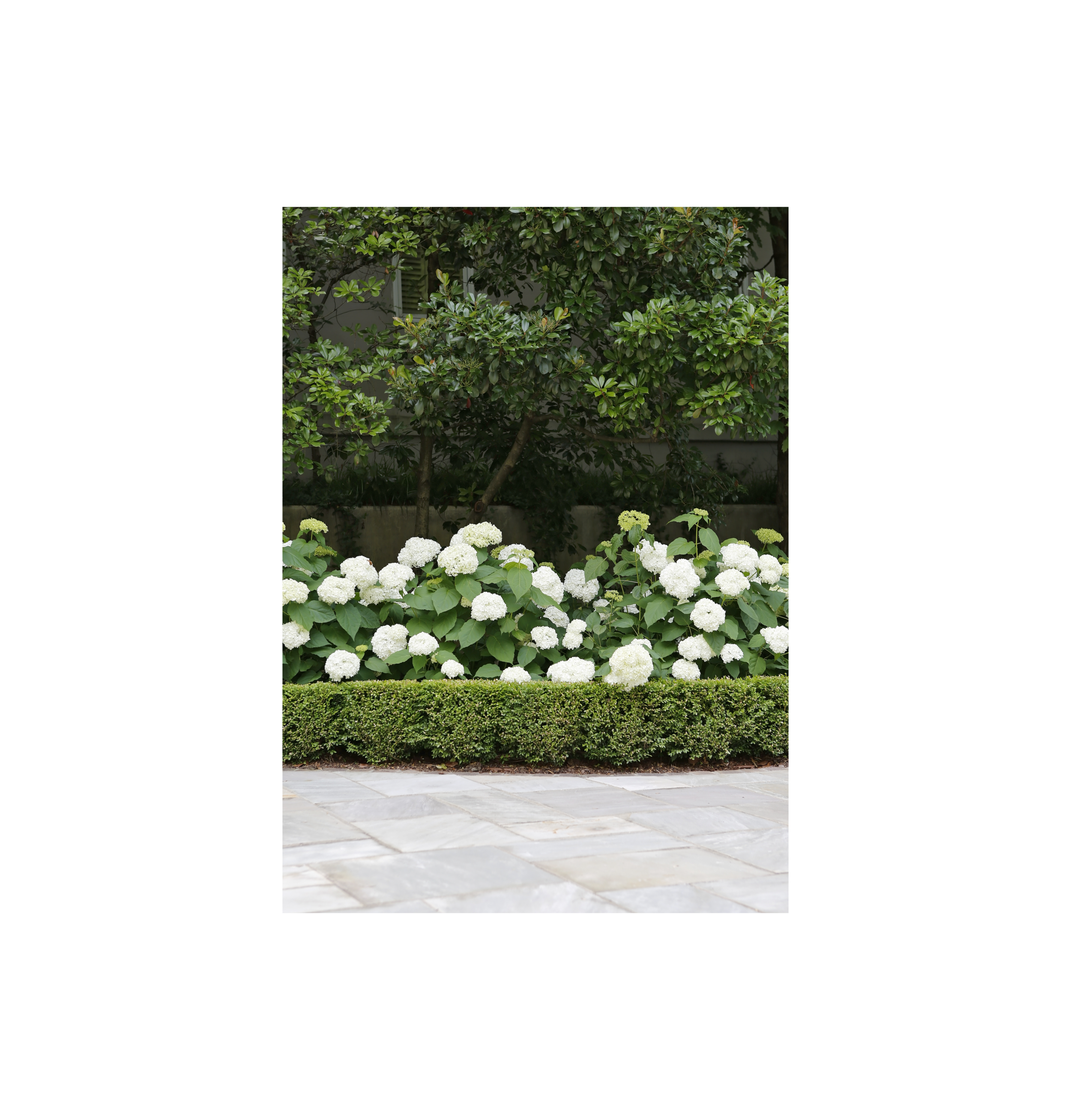 0892-0145 copy.png