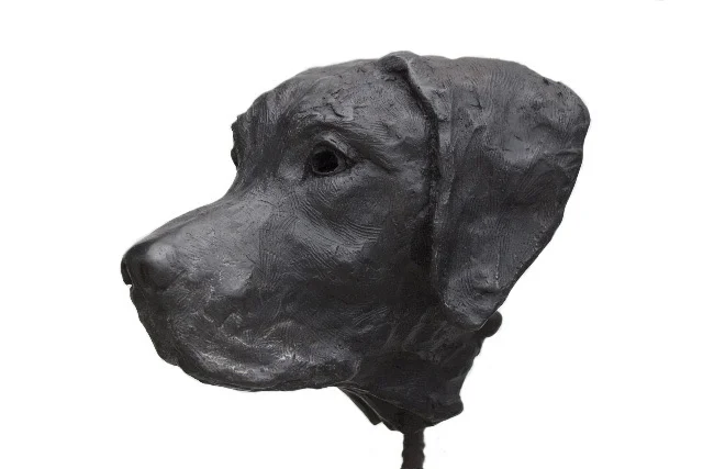 LABRADOR