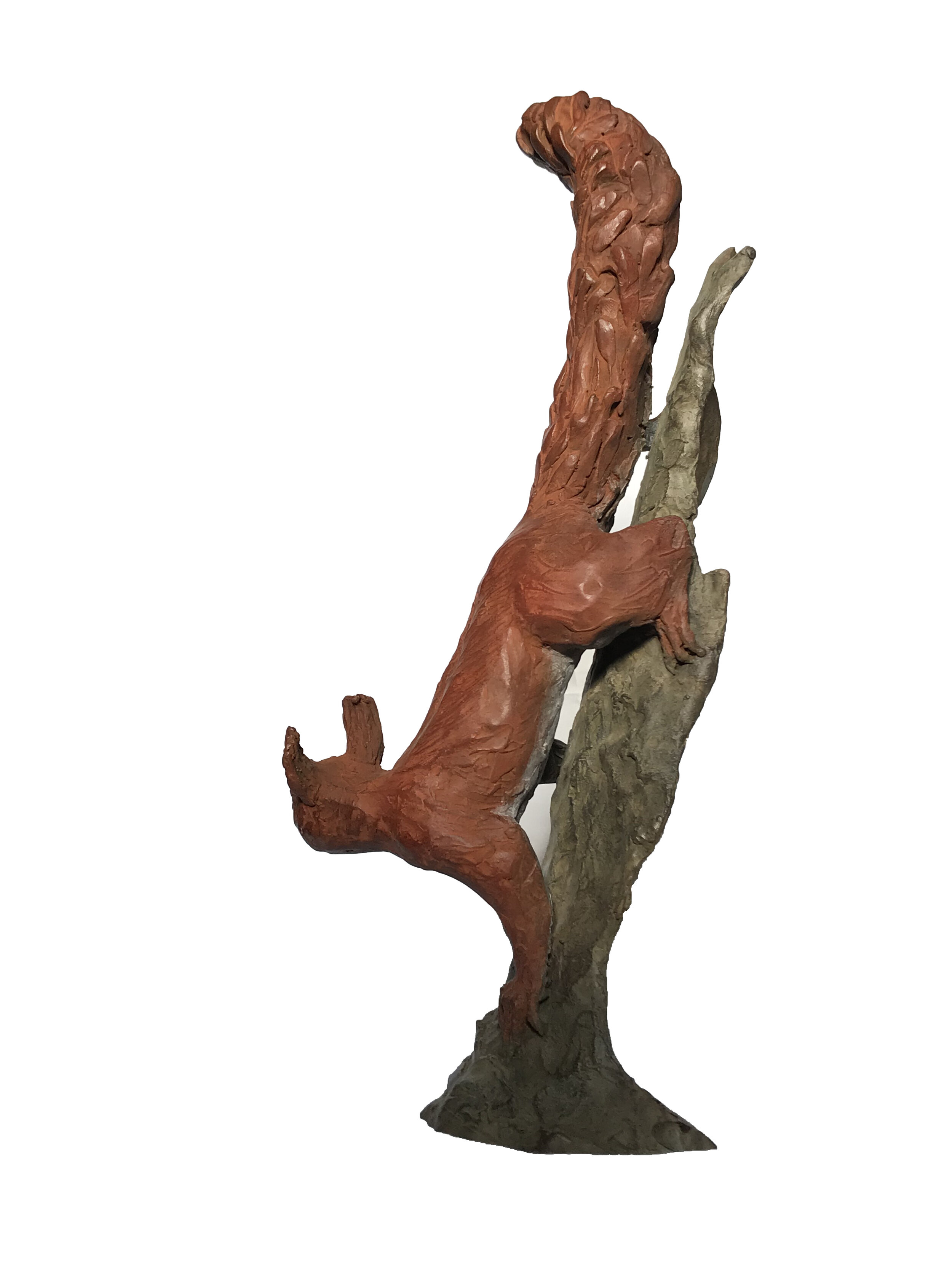 Squirell 3.JPG
