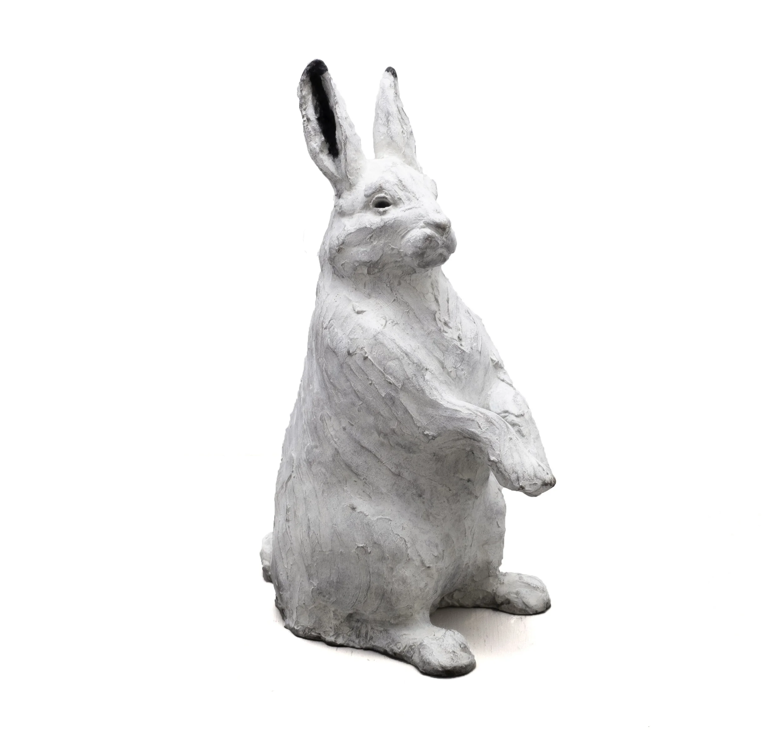Snow Hares 2.JPG