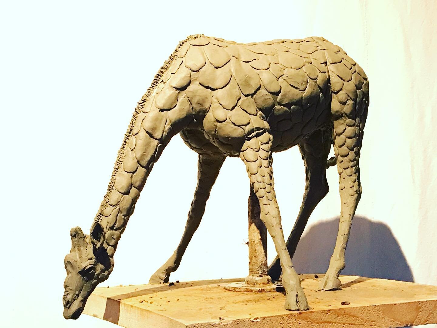 Drinking giraffe 🦒 
.
.
#love #funnyanimals #giraffe #workinprogress #clay #lostwaxcasting #bronzesculpture #animalsculpture #wildlifeart #homedesign #luxurydecor #homedecor #contemporaryart #contemporaryartists #art #fineart #figurative  #limiteded