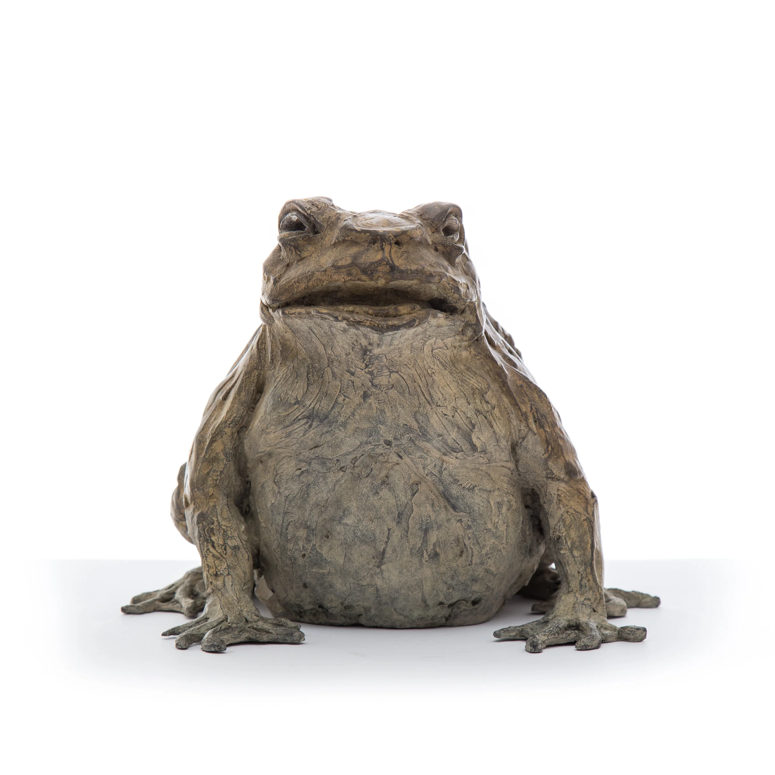 Big Toad1.jpg