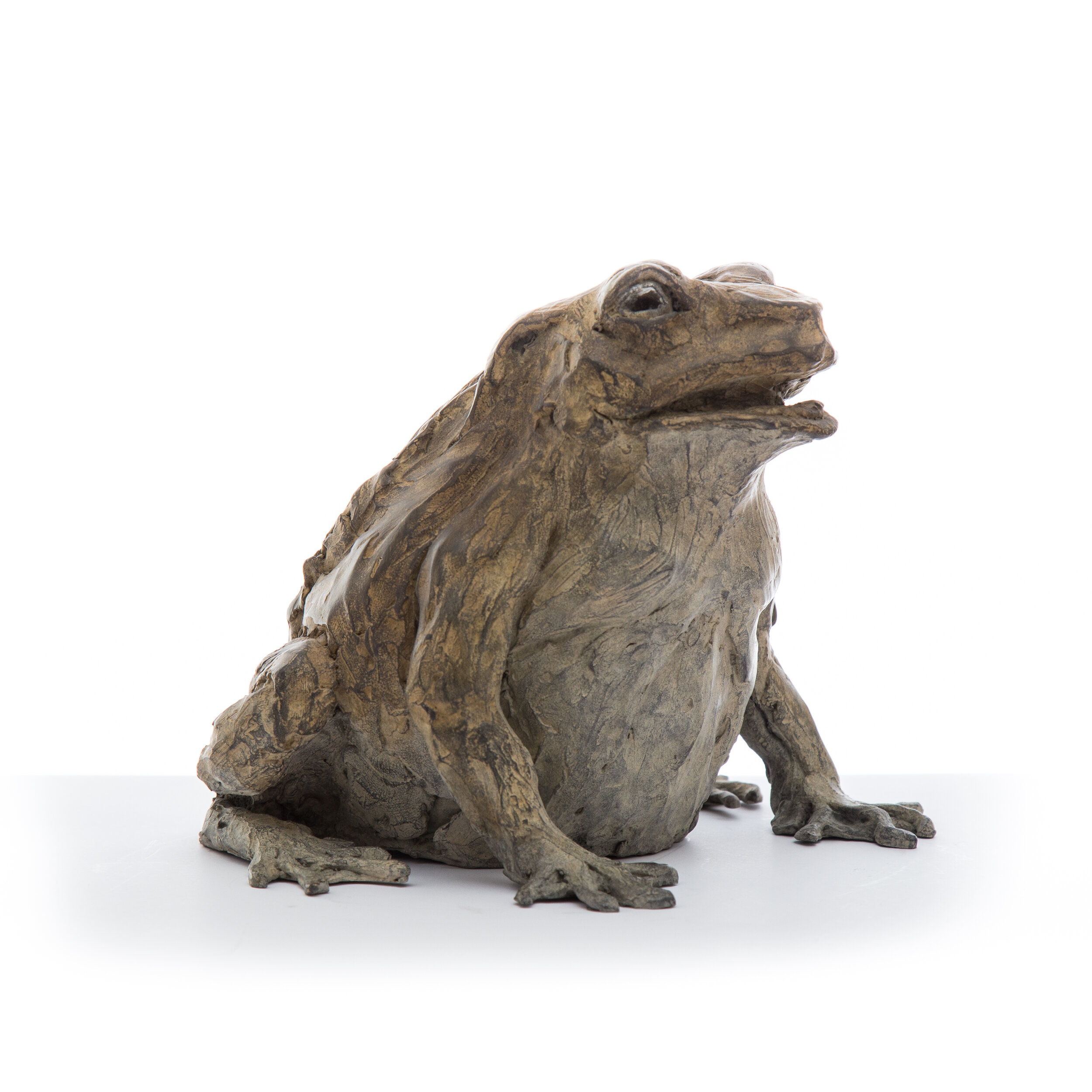 Big Toad2.jpg