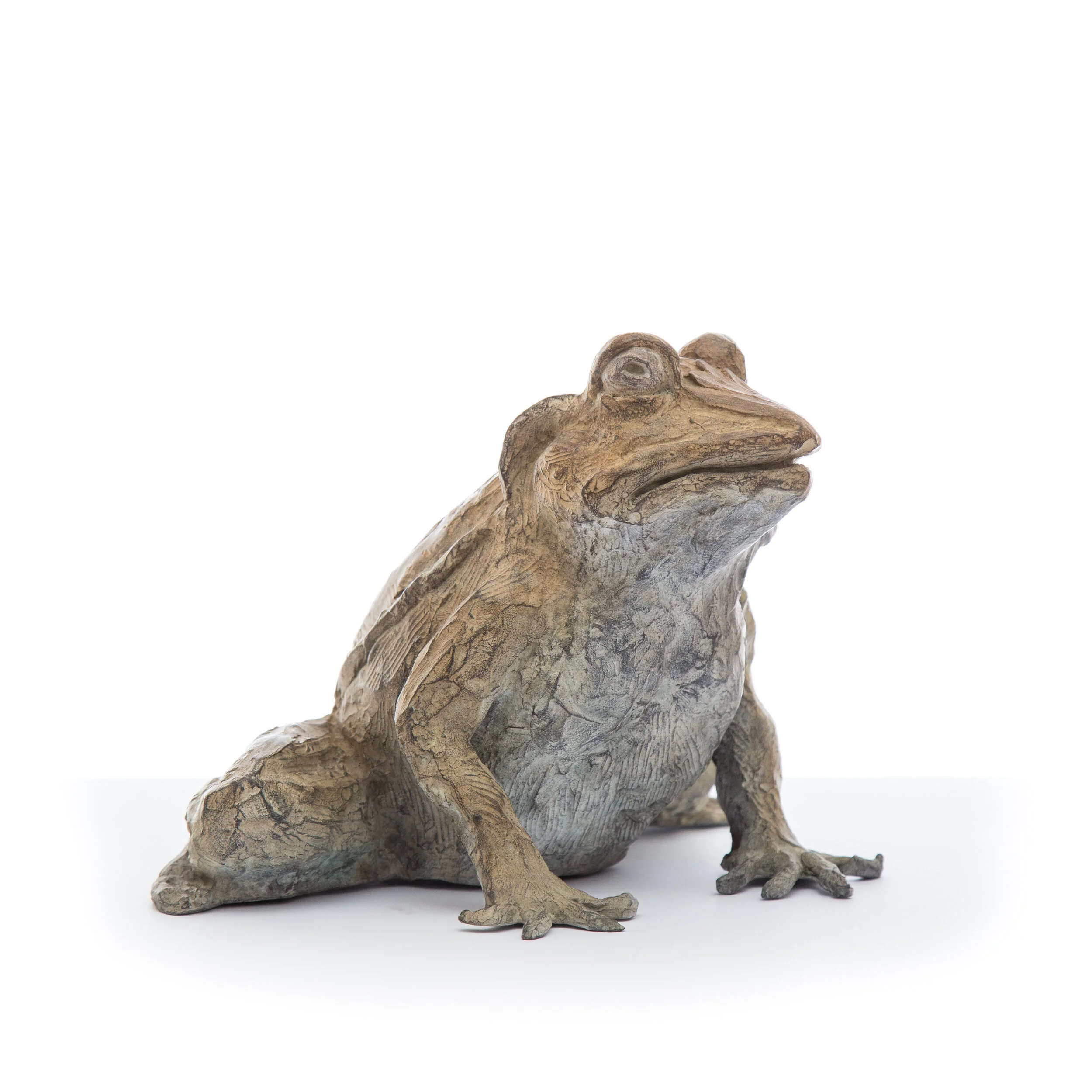 Medium Toad2.jpg