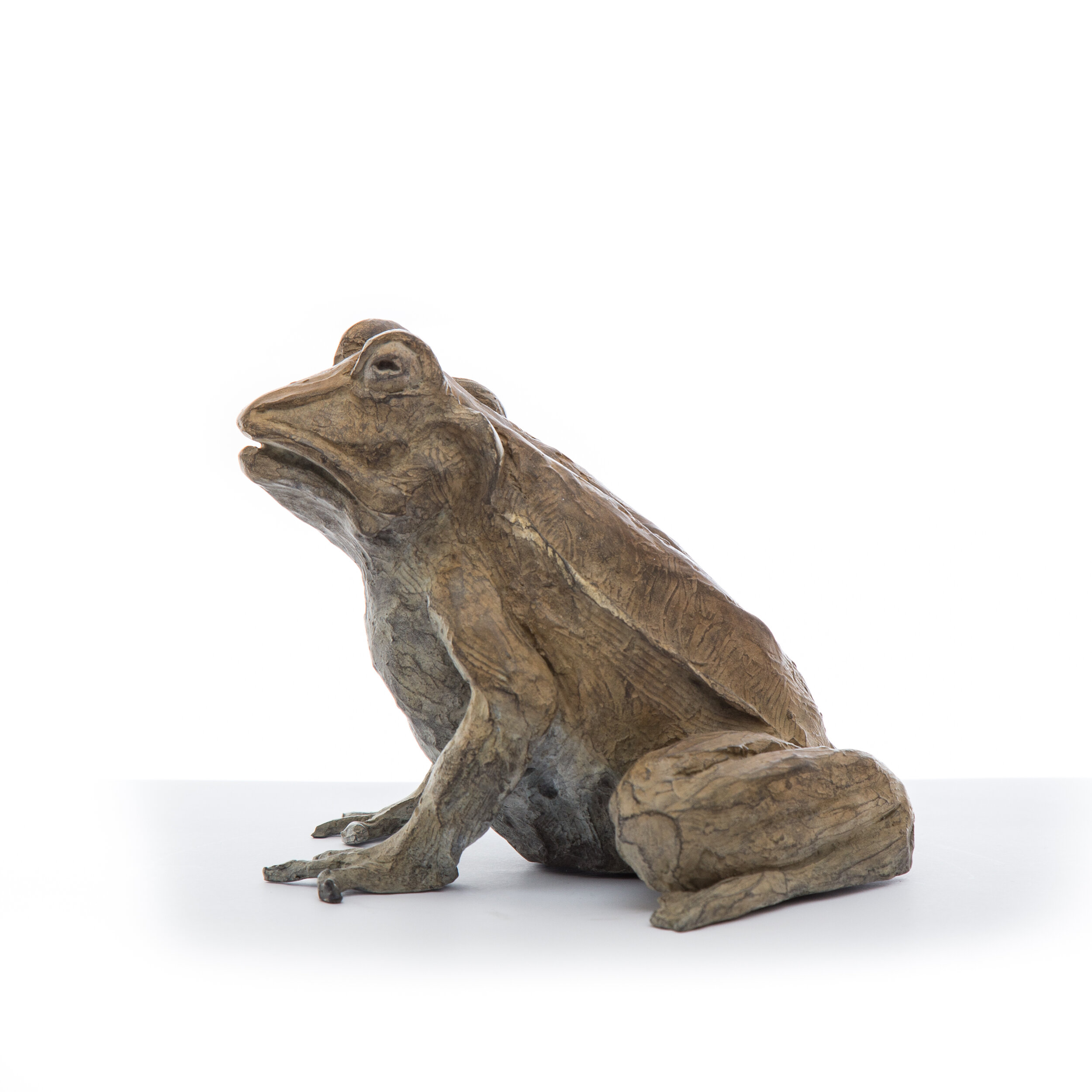 Medium Toad5.jpg