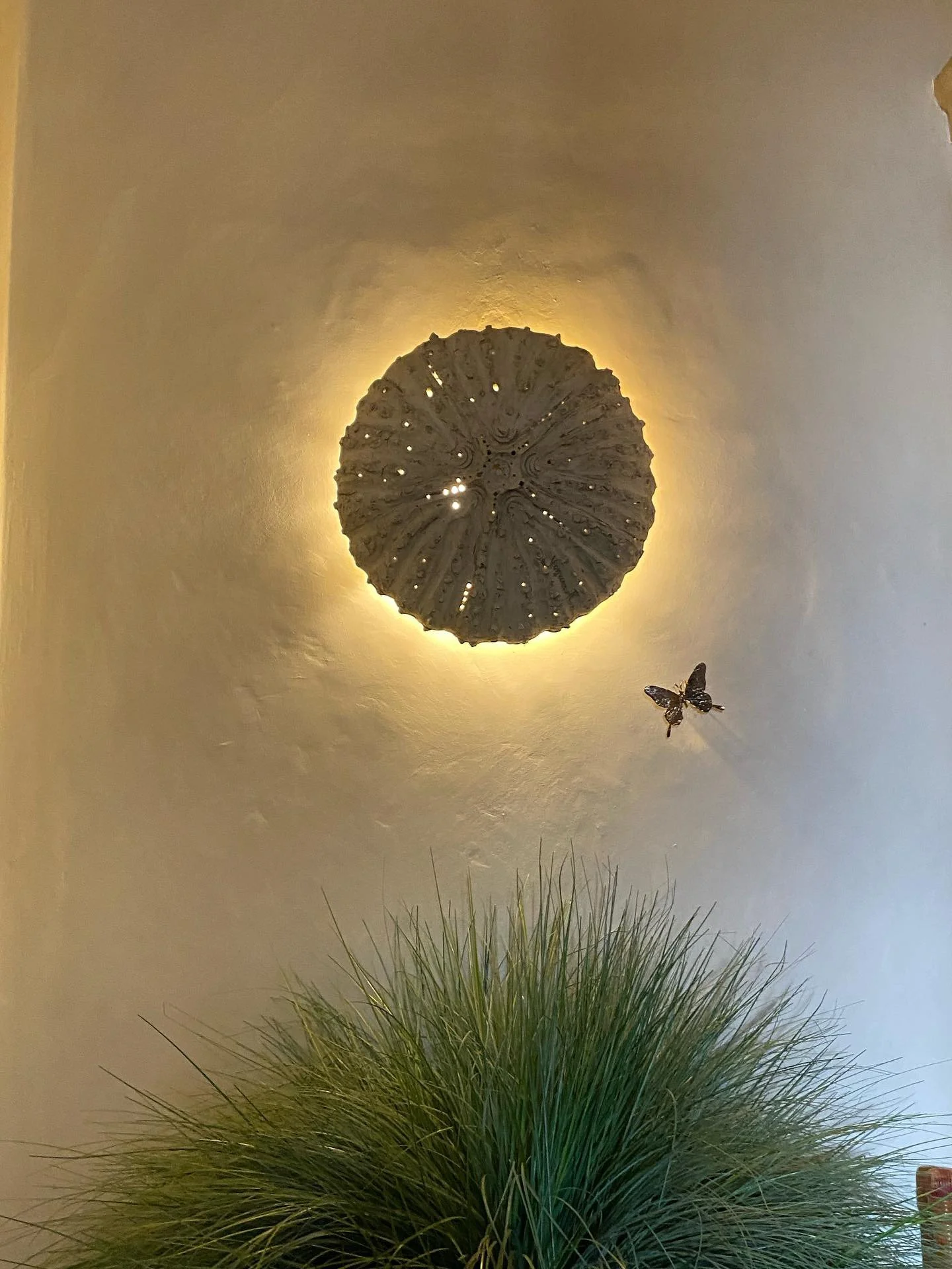 Plaster sea urchin and greenery.JPG