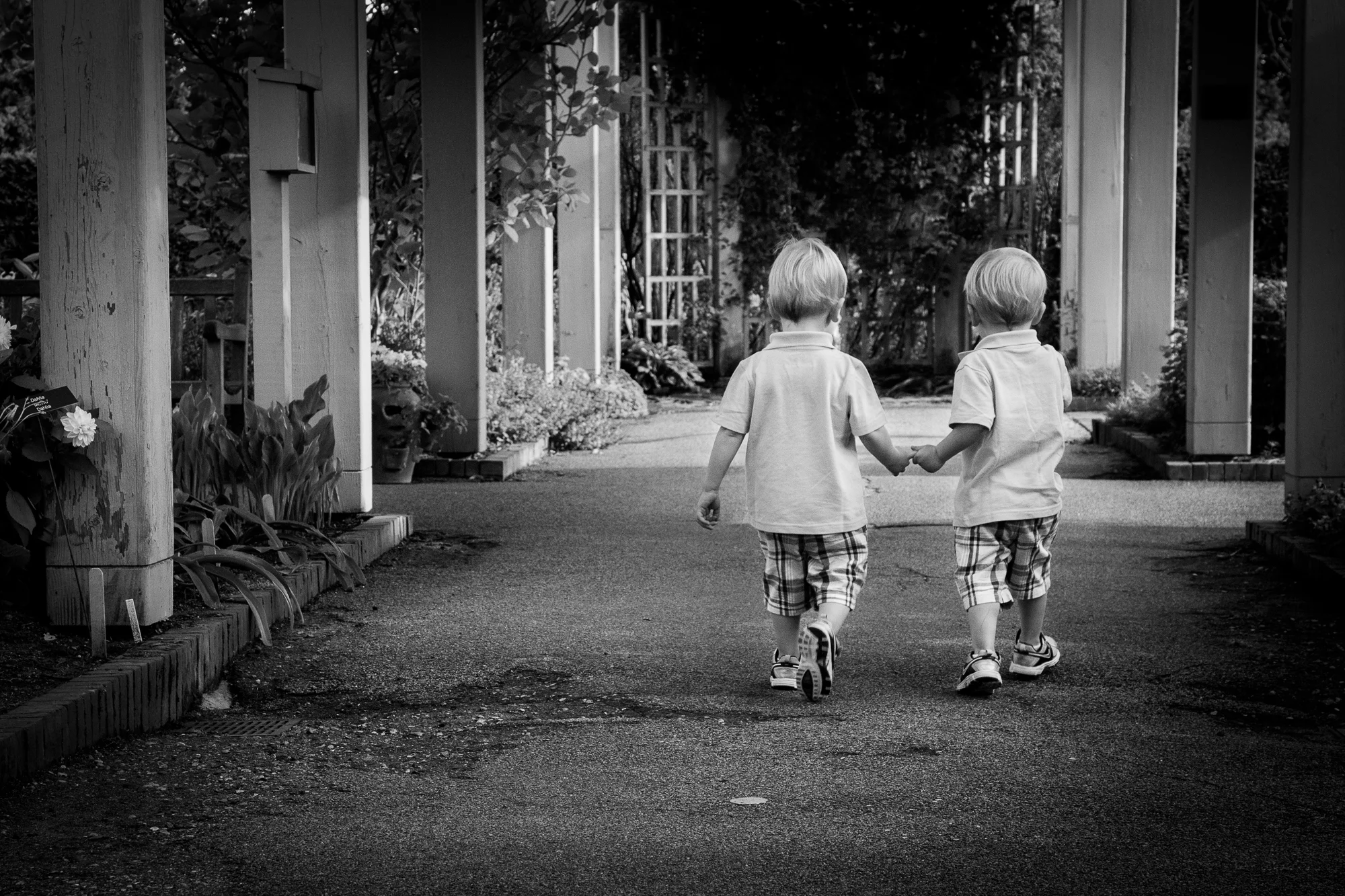 brothers.jpg