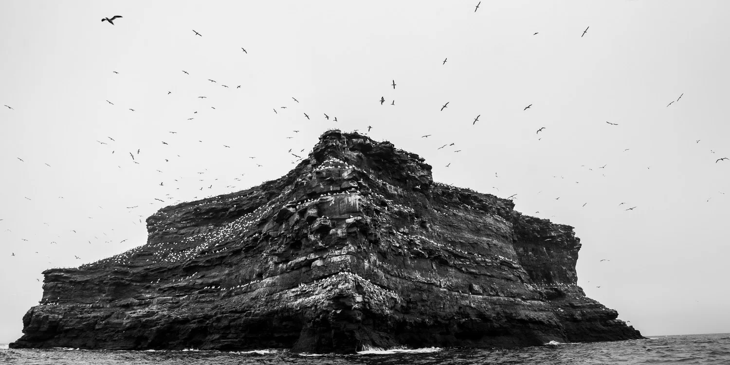 2015-iles_de_la_madeleine_nigel_quinn--3.jpg