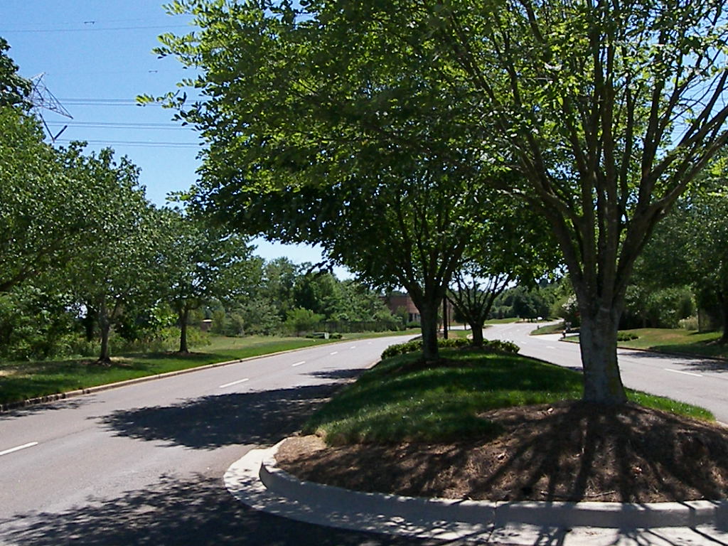 Land - Median-Divided Roadway.JPG