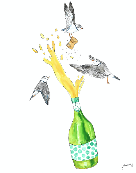 Plovers Popping Bottles