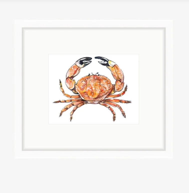 https://i.etsystatic.com/5857352/r/il/f162fb/1153615993/il_fullxfull.1153615993_tajp.jpg