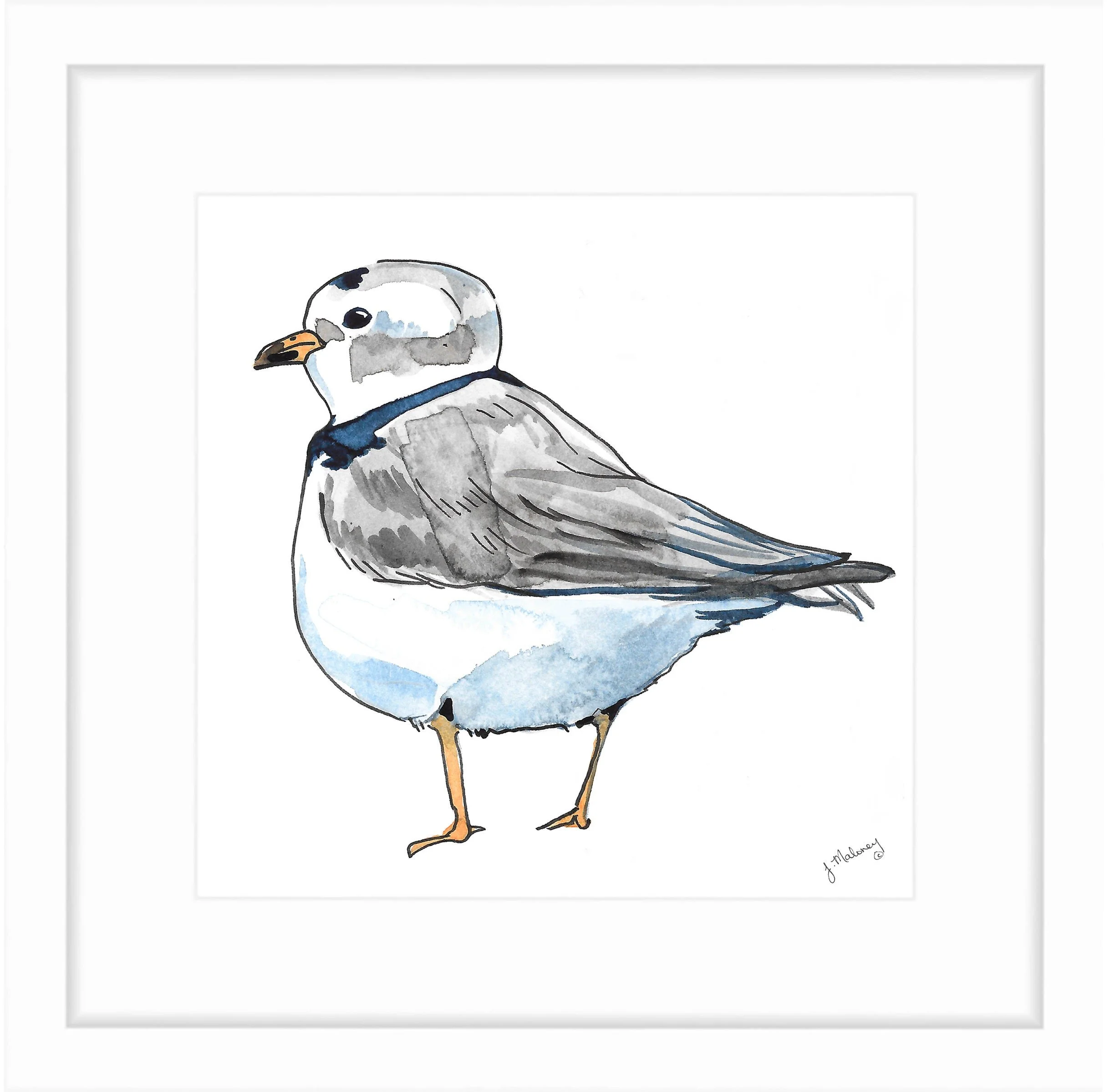 https://i.etsystatic.com/5857352/r/il/04ed6e/2789988590/il_fullxfull.2789988590_i7yw.jpg