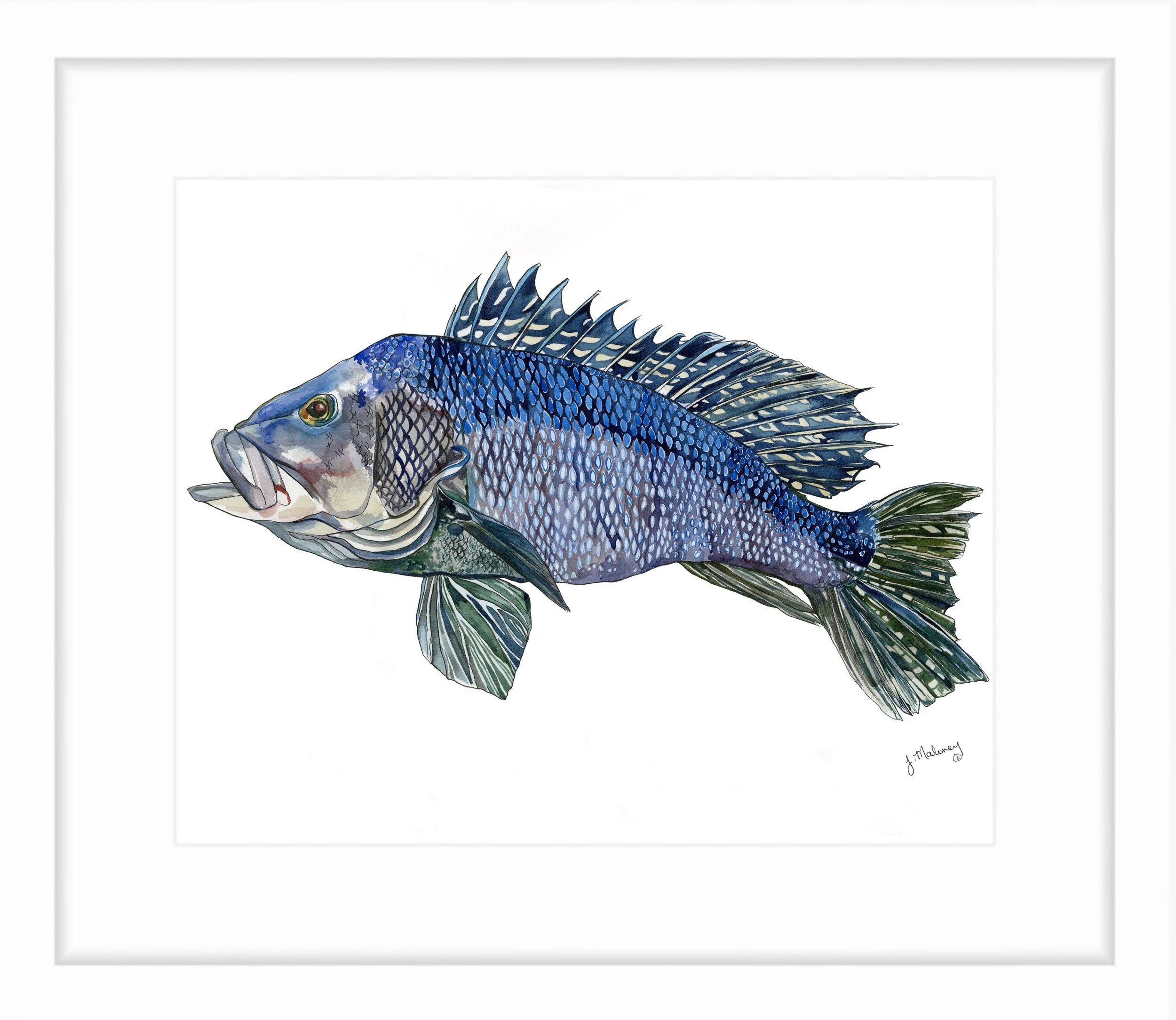 https://i.etsystatic.com/5857352/r/il/57d5d6/3333380359/il_fullxfull.3333380359_cqoa.jpg