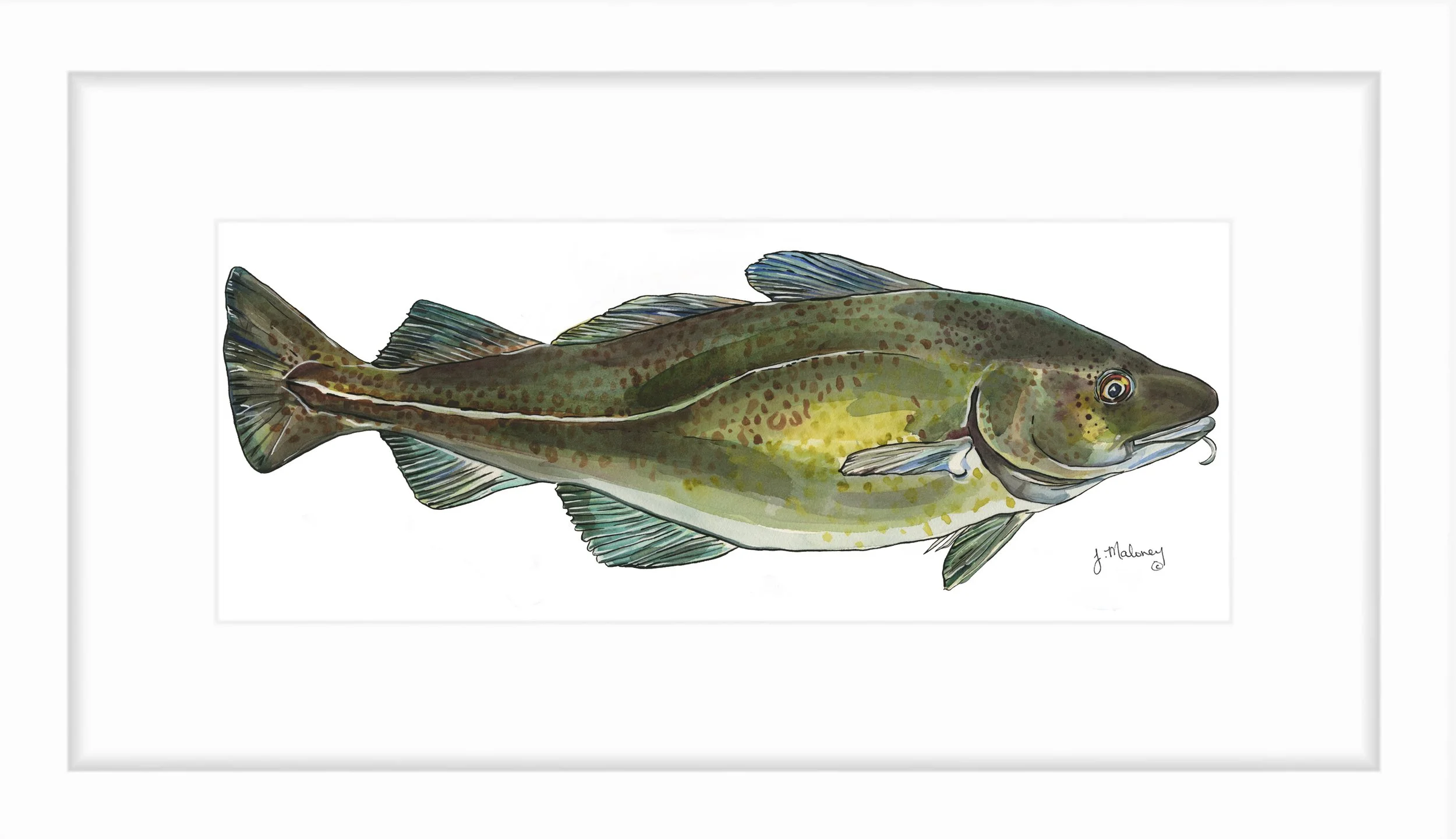 CODFISH_PRINT.jpg
