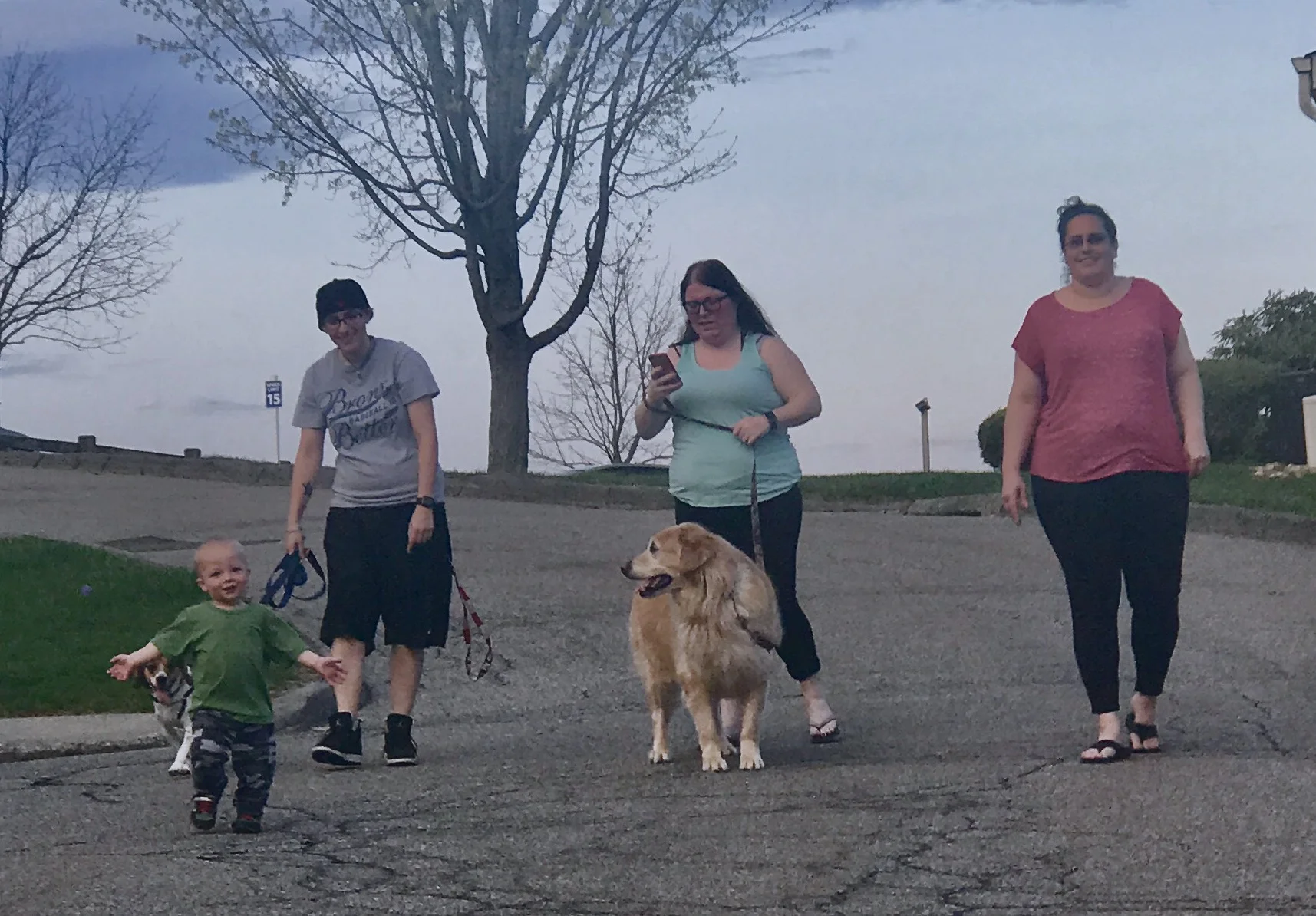 Walking Dog.jpg