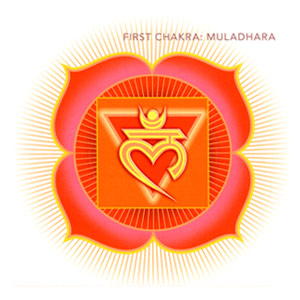 Chakra images taken from "The Subtle Body" by Cyndi Dale