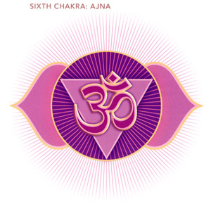 Chakra images taken from "The Subtle Body" by Cyndi Dale