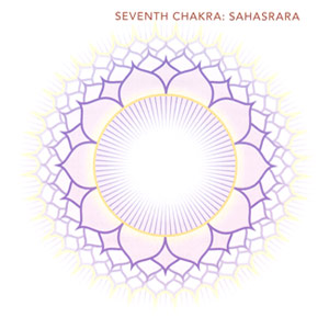Chakra images taken from "The Subtle Body" by Cyndi Dale