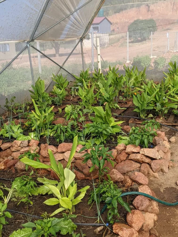2025.09.16_Urban Farming & Permaculture Learning Space Training_AM 111.jpg