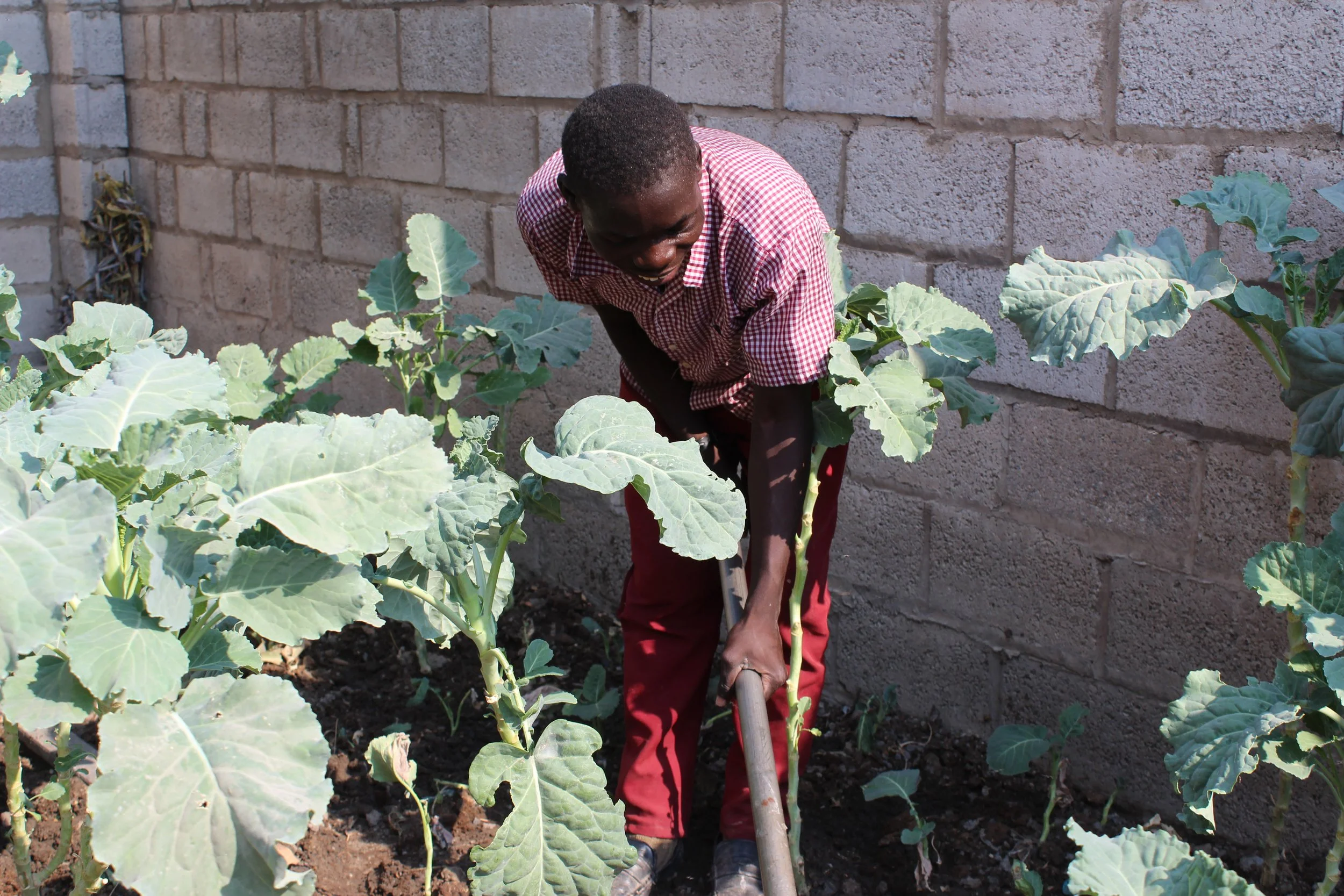 2025-11-20_Peter_AM 2.JPG