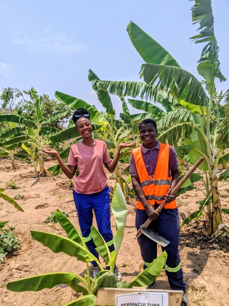 2025-11-20_Sweady_AM 2.jpeg