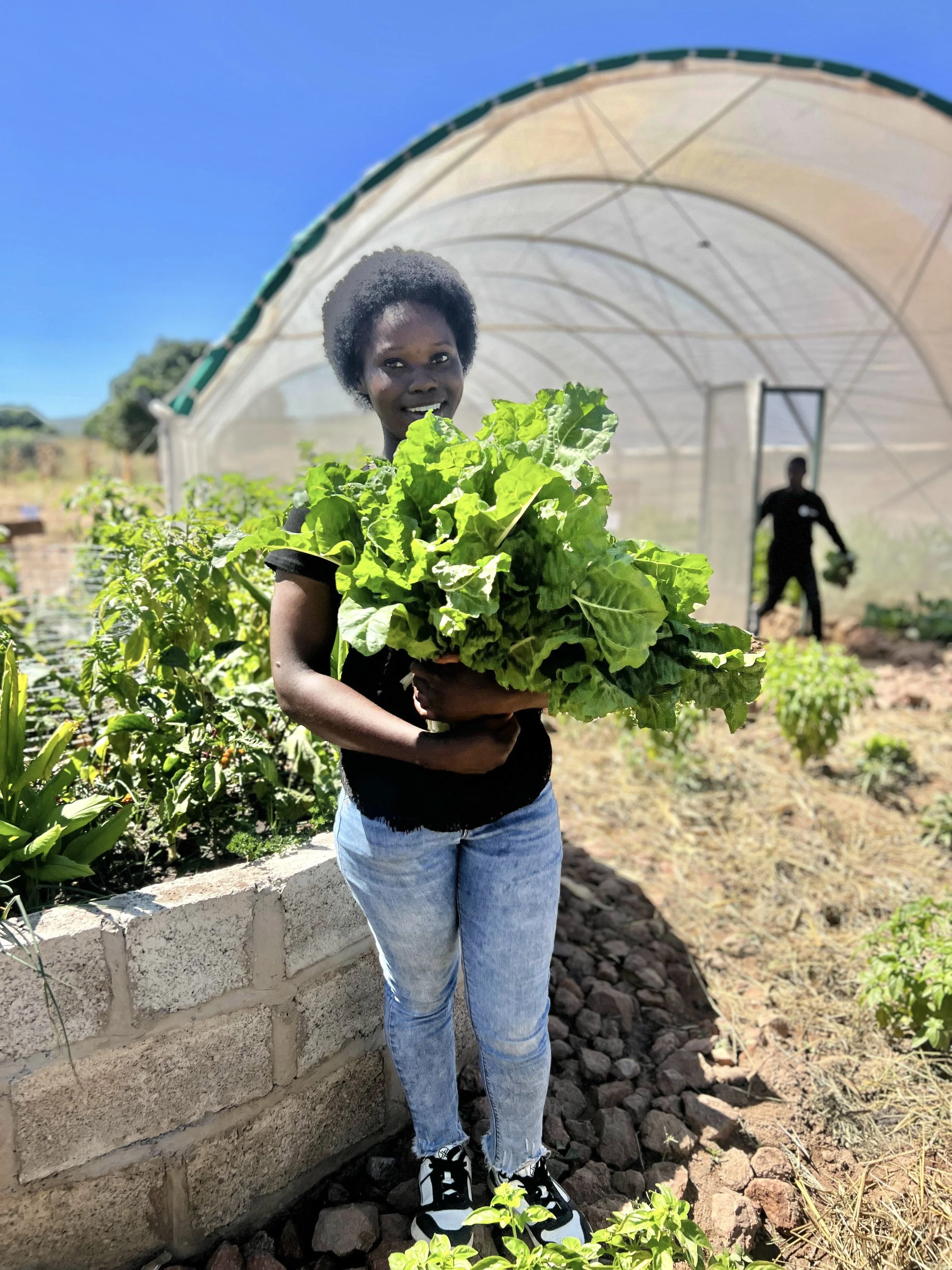 A Zambian teenager wearing a blue shirt and jeans holds a green plant as she stands in front of a greenhouse.