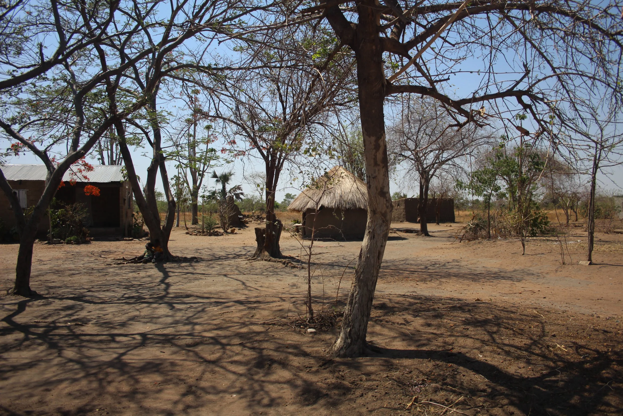 Picture of rural huts in the village of Chanyanya