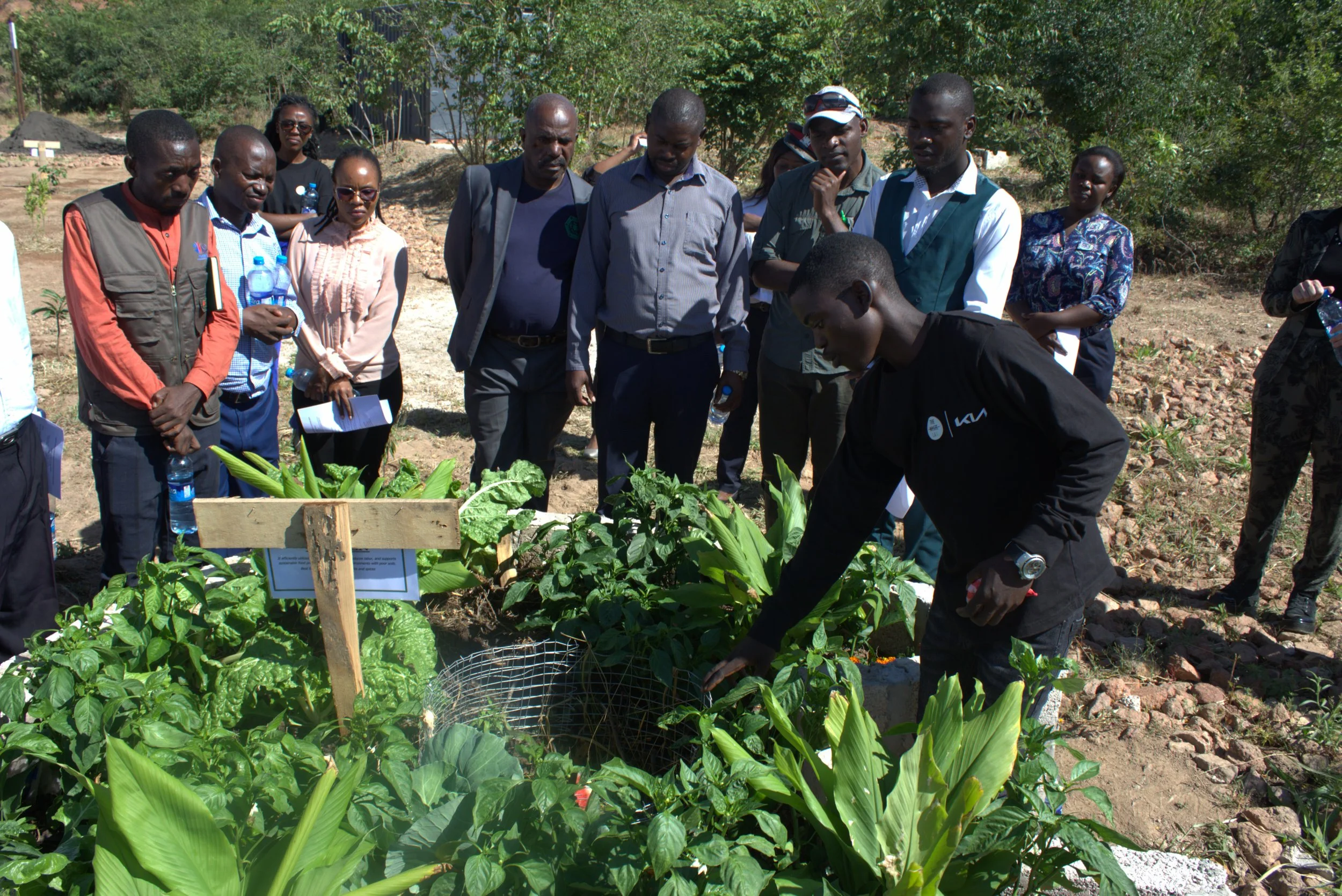 A group of Zambian students gather around a keyhole garden display to learn local techniques.
