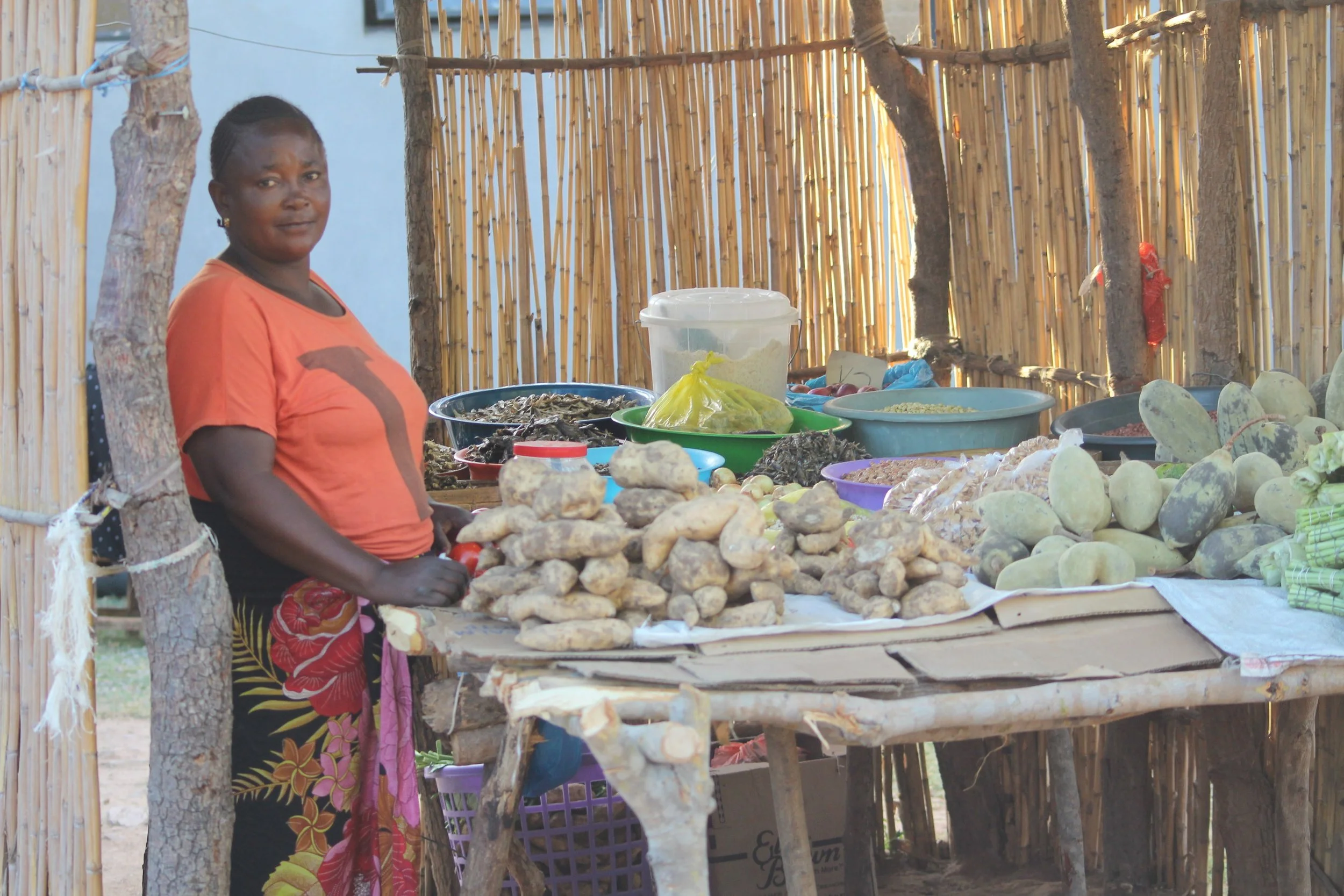 A Zambian woman wearing an orange shirt and floral skirt displays the vegetables at her market stand.